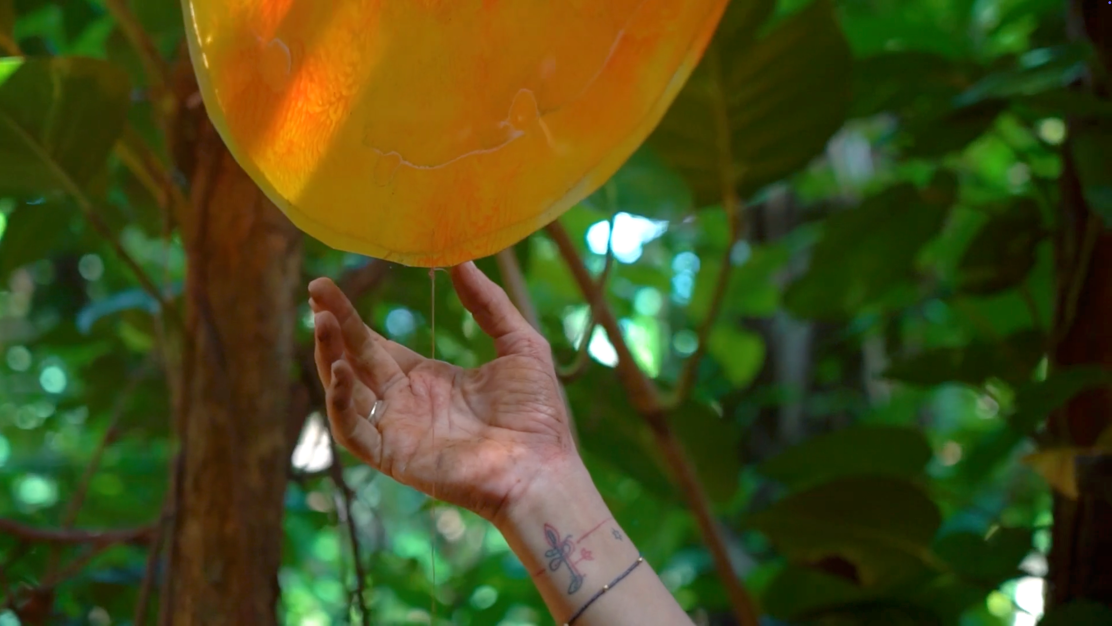 Ivelisse Jiménez, arteYUNQUE: "Natura" (2023-2024)