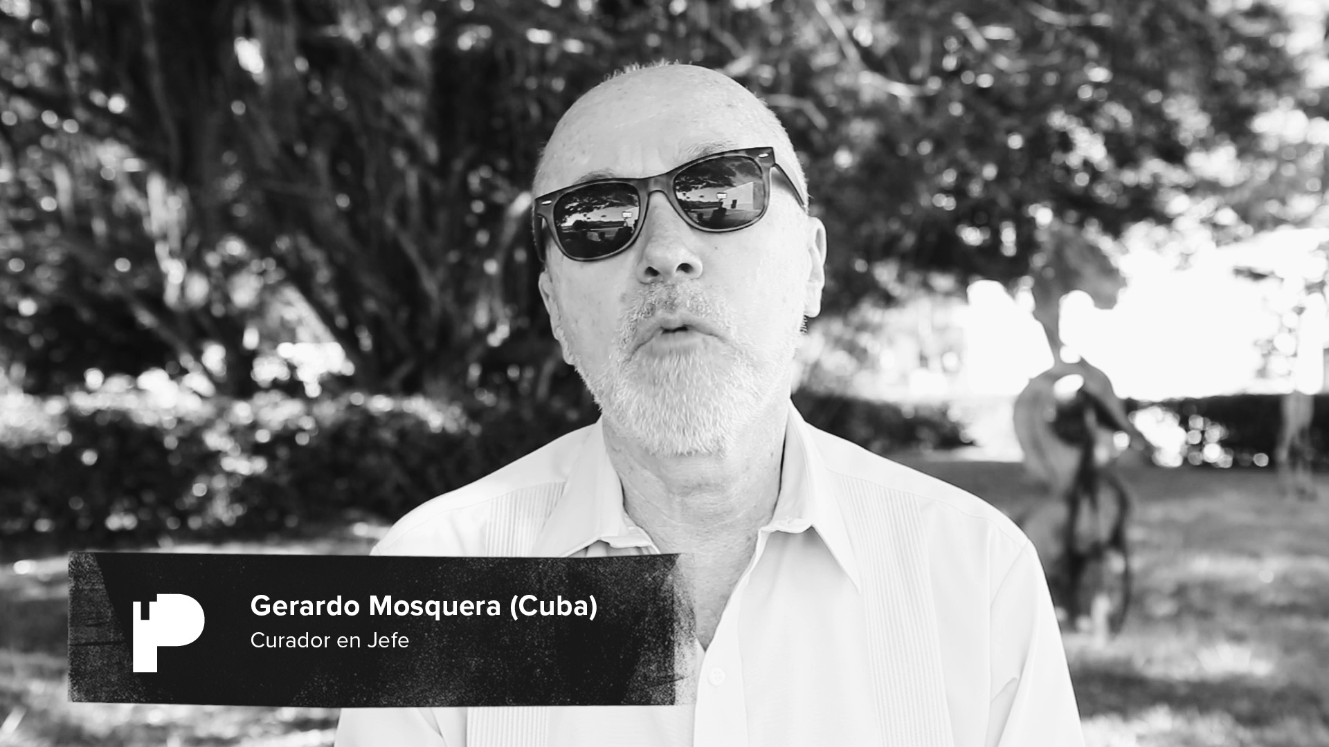 Fotos y Documental 4ta Trienal Poli/Gráfica de San Juan, América Latina y el Caribe, ICP (2015-2016)