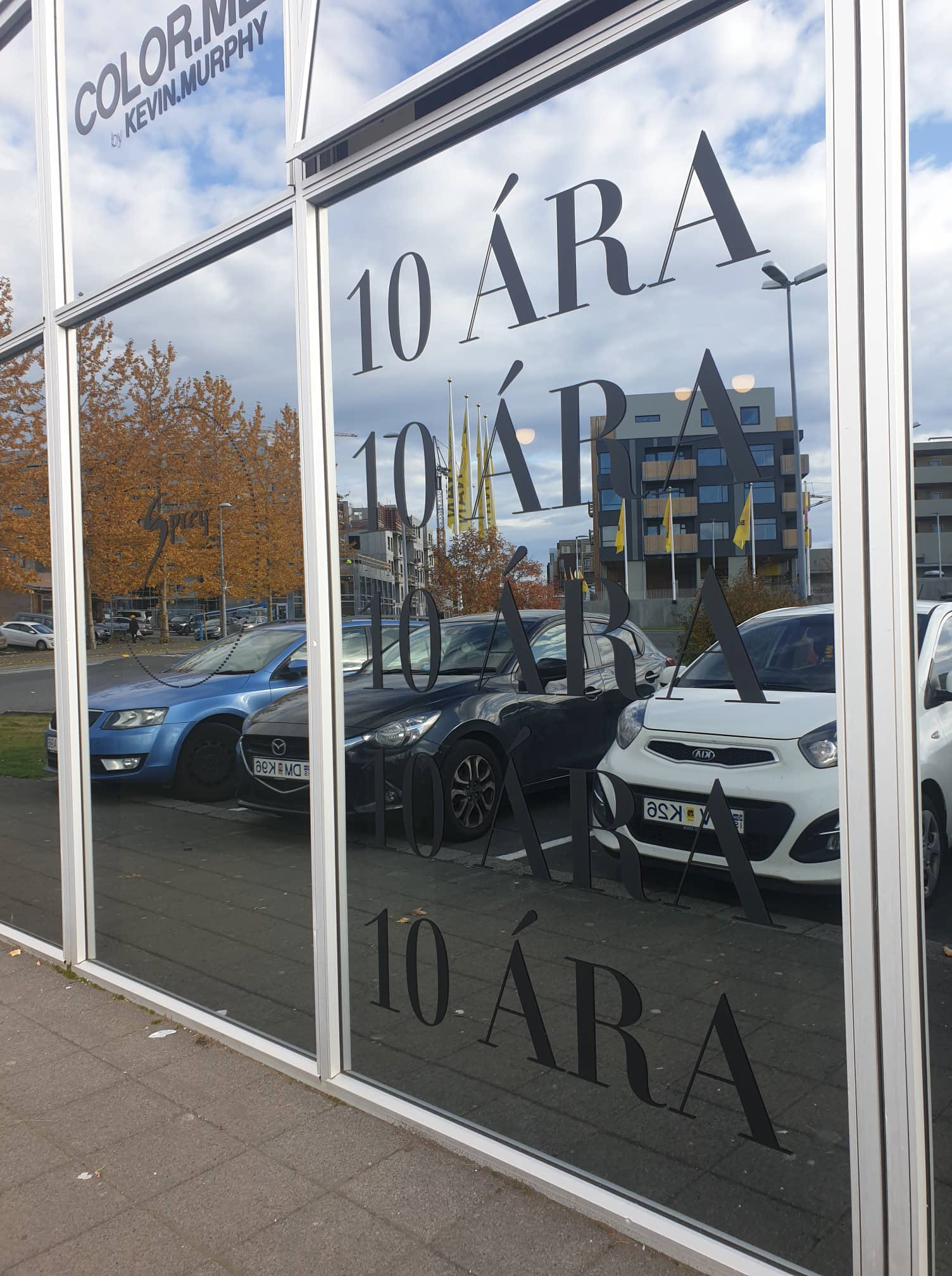 Window Decoration Foils