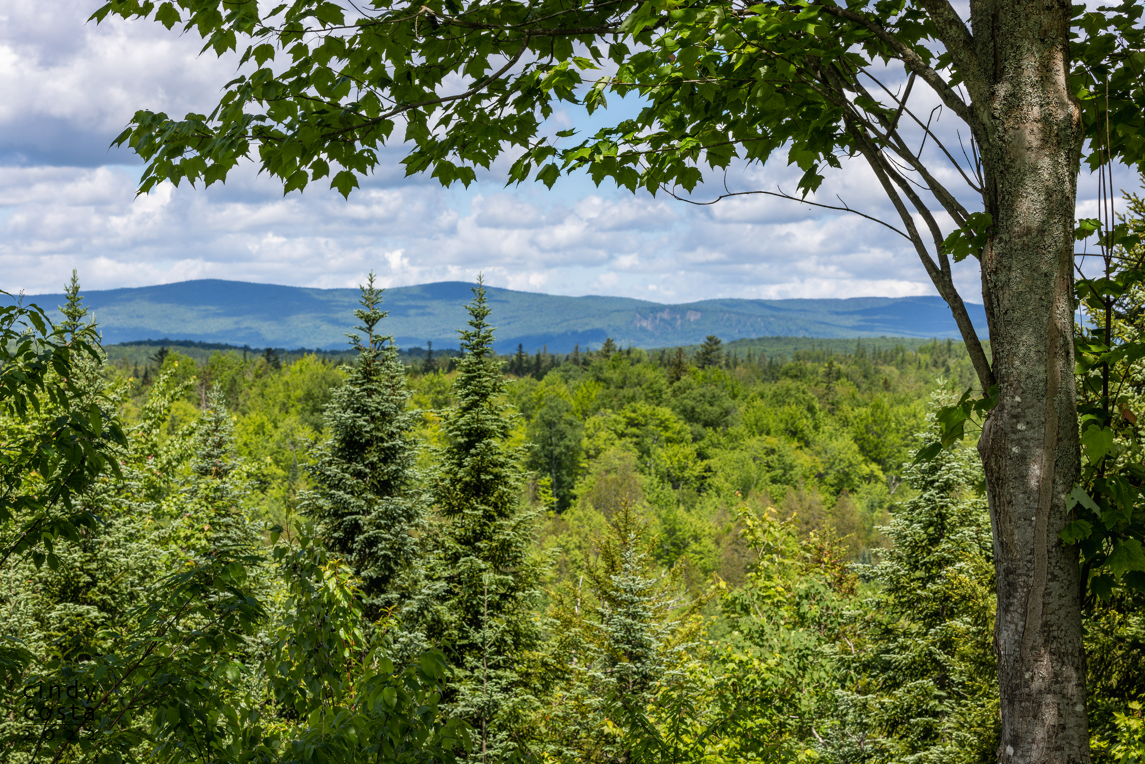 Northeast Kingdom View