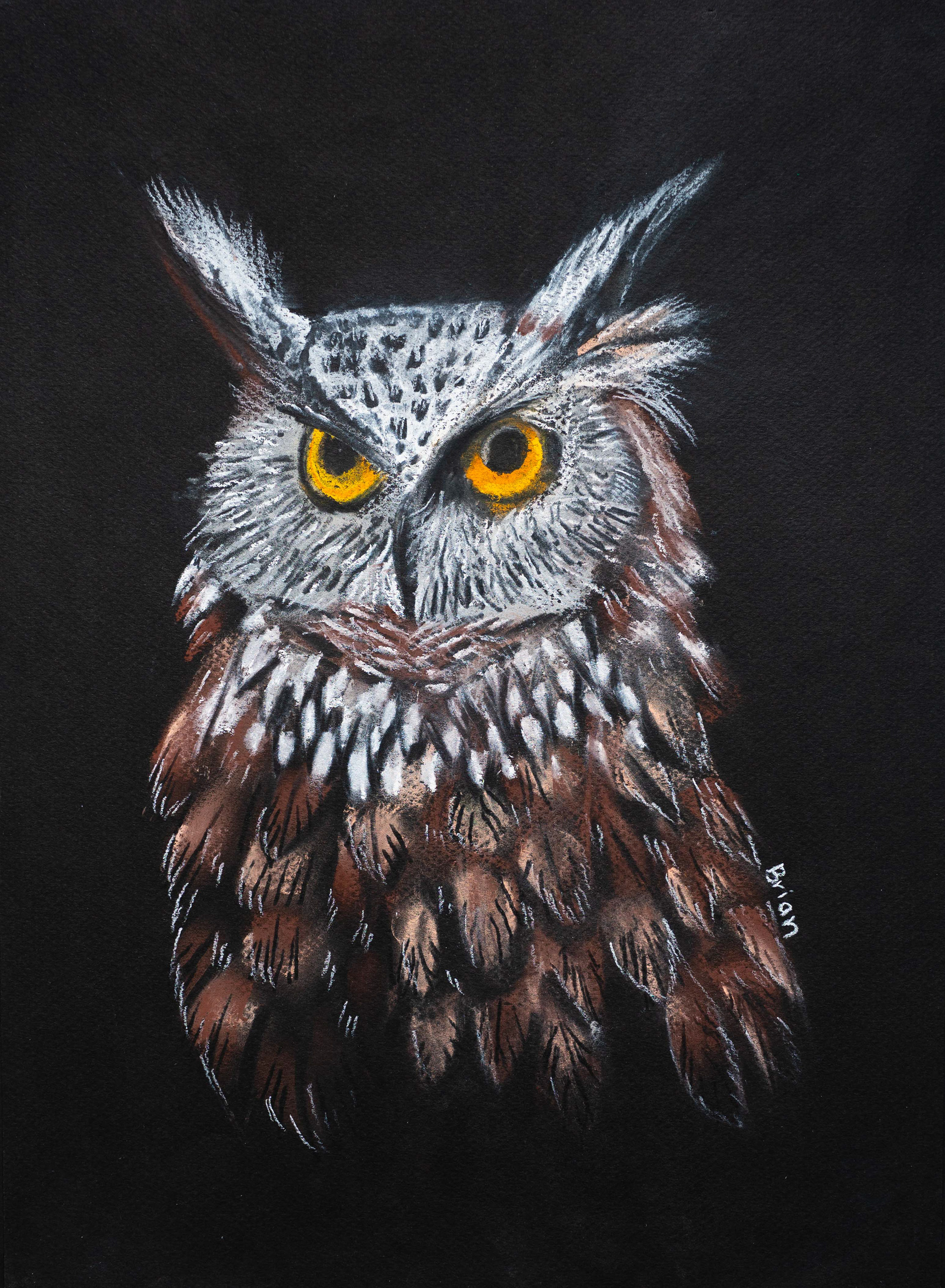I always wanted to try using charcoal and mixing dark colors together because I once saw a picture of a horse and it was so lifelike that I wanted to try it myself. I thought the owl was the perfect subject because of how mysterious they are. In the end, I wasn't really happy with how it turned out because I thought the eyes were not detailed enough. However, I think that every drawing is a learning process and now that I am more familiar with using charcoal, next time I will try to improve on the details of the paintings.