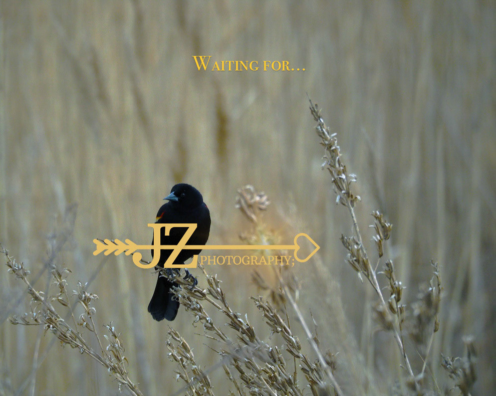 Waiting for...