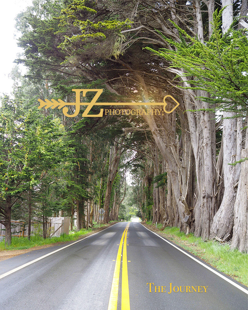 The Journey