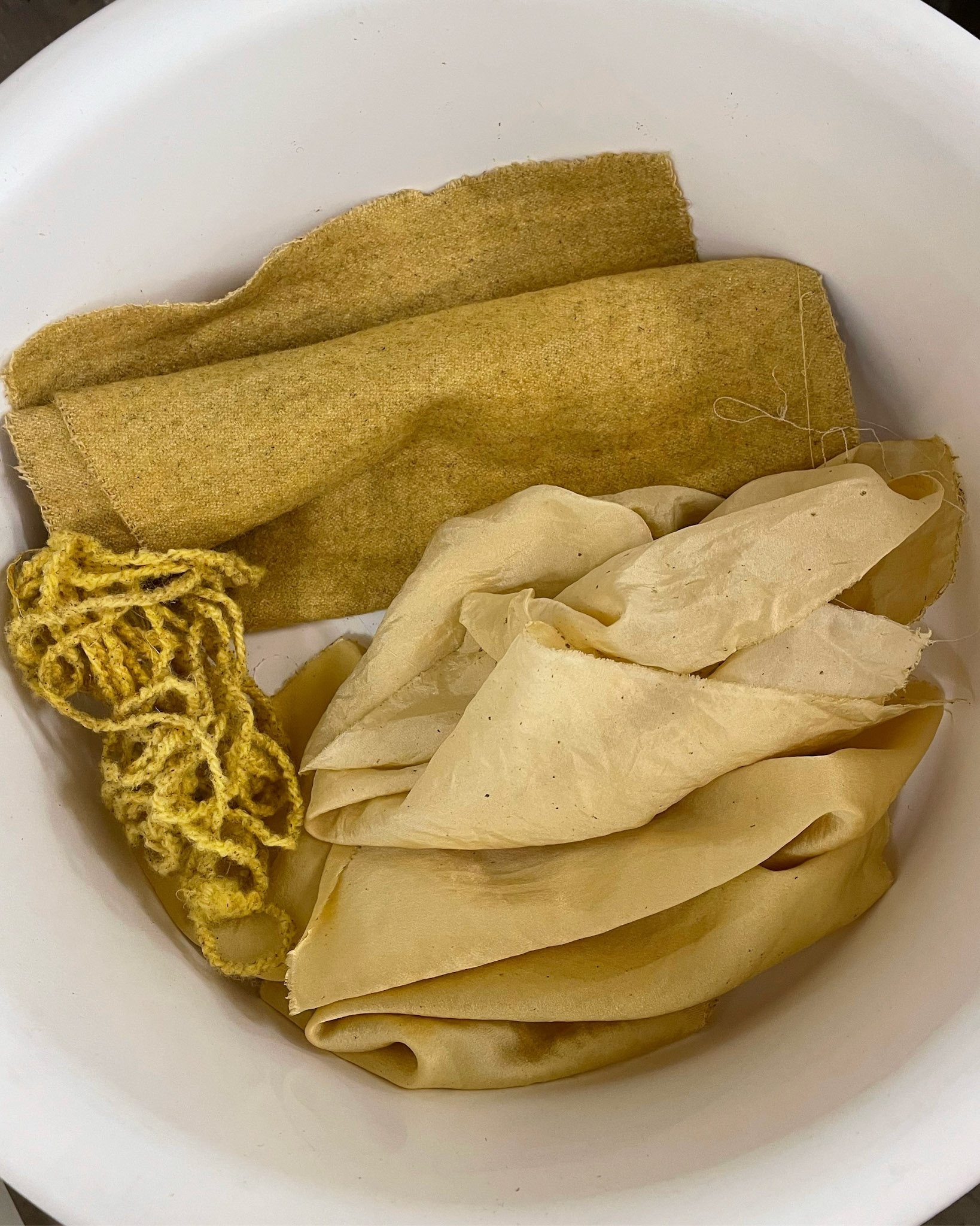 MARIGOLD DYE EXPLORATION