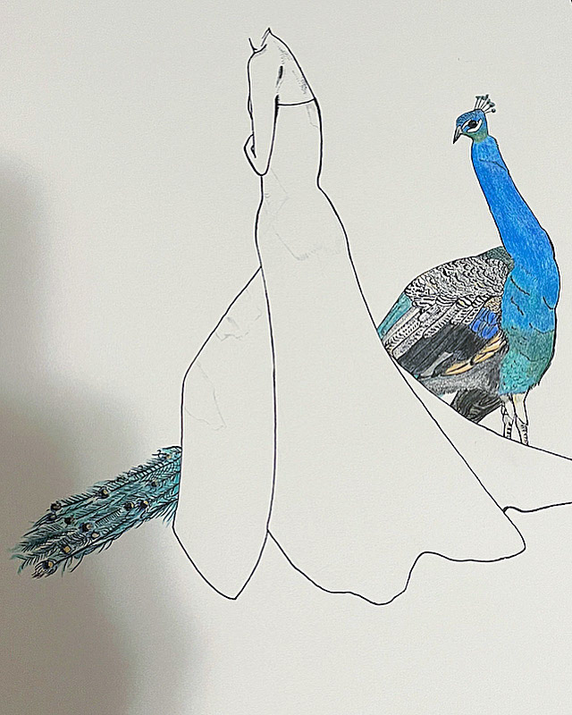 Adding Colour