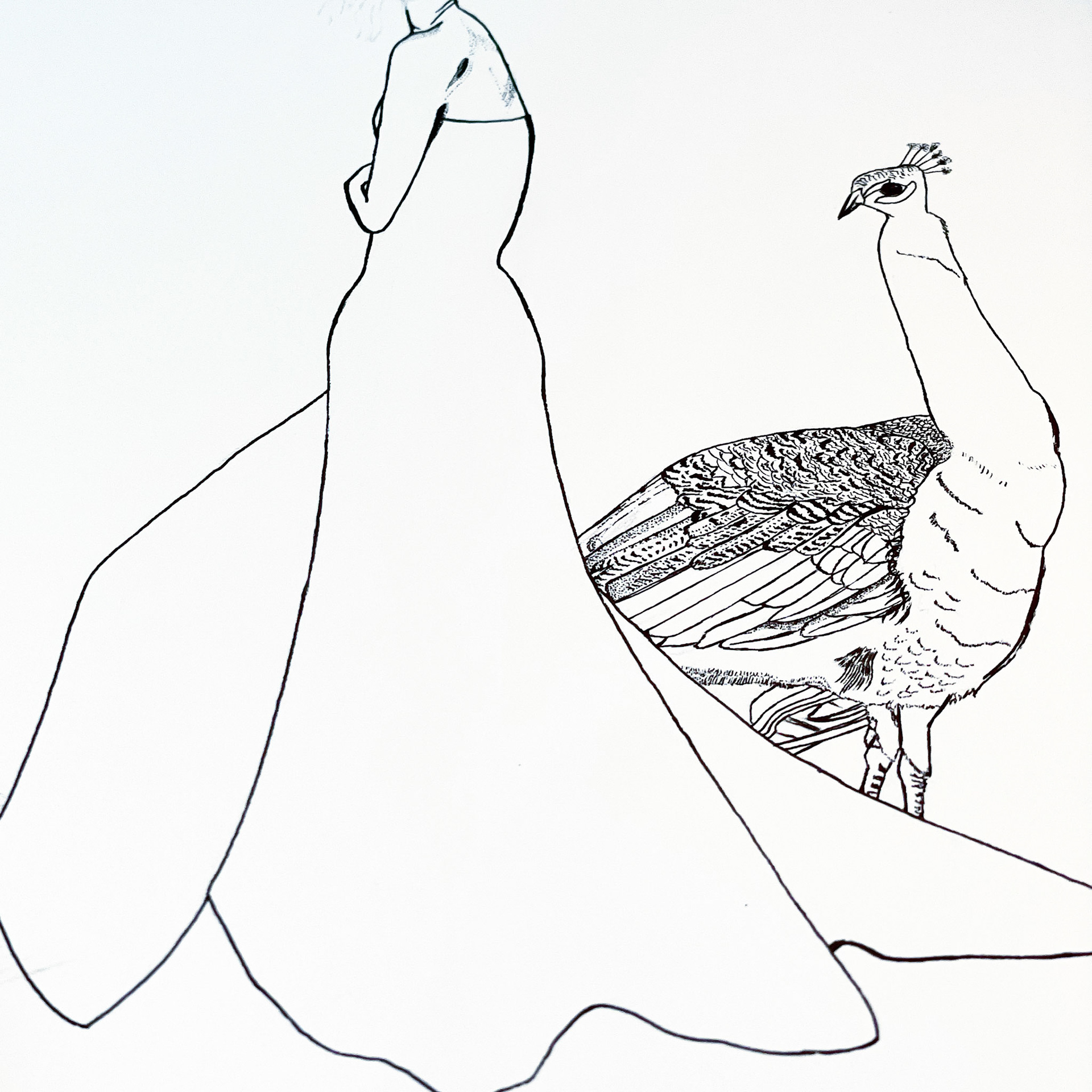 Free Hand 0.38mm Line Drawing