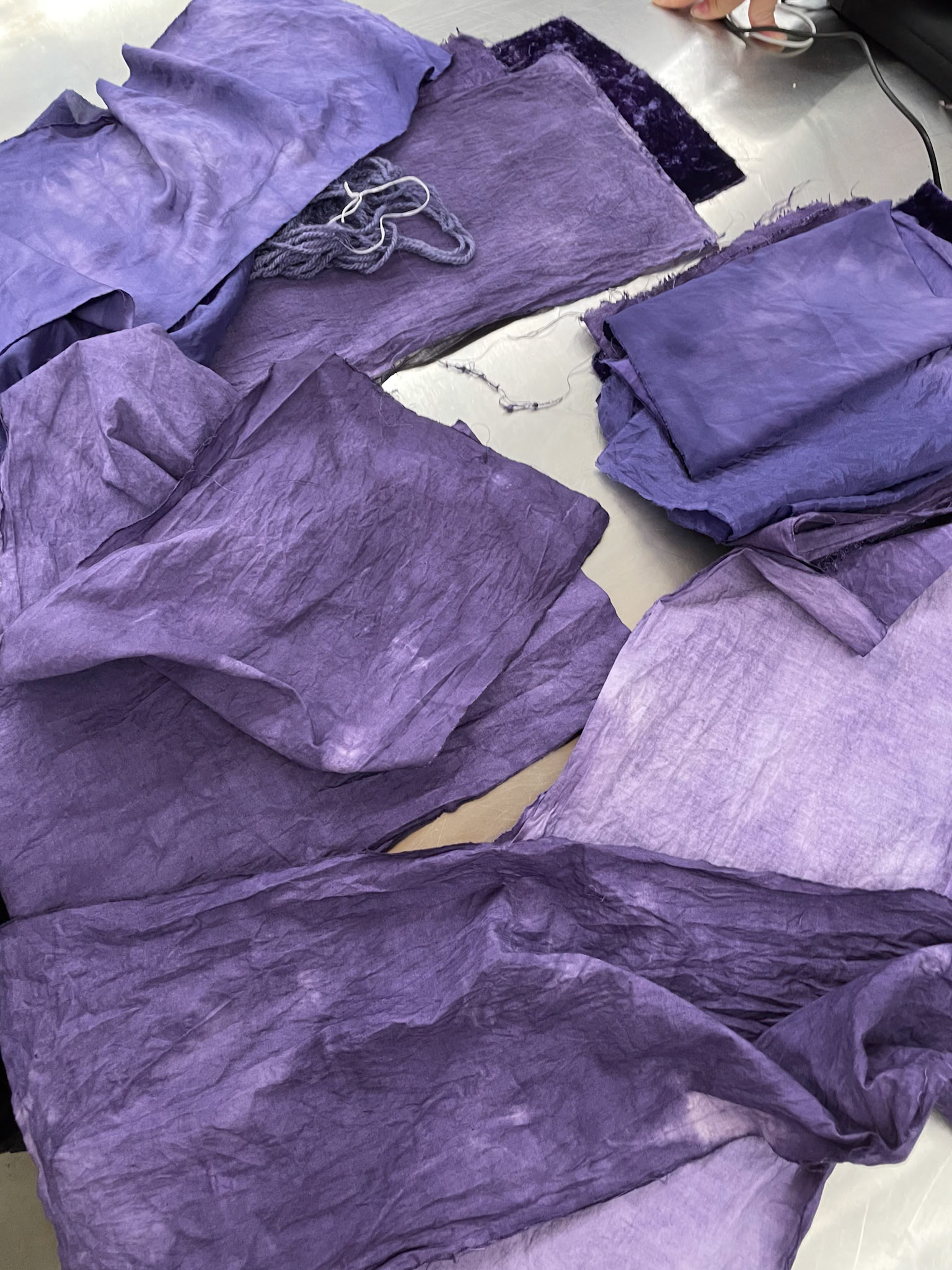 LOGWOOD COLOUR EXPLORATION