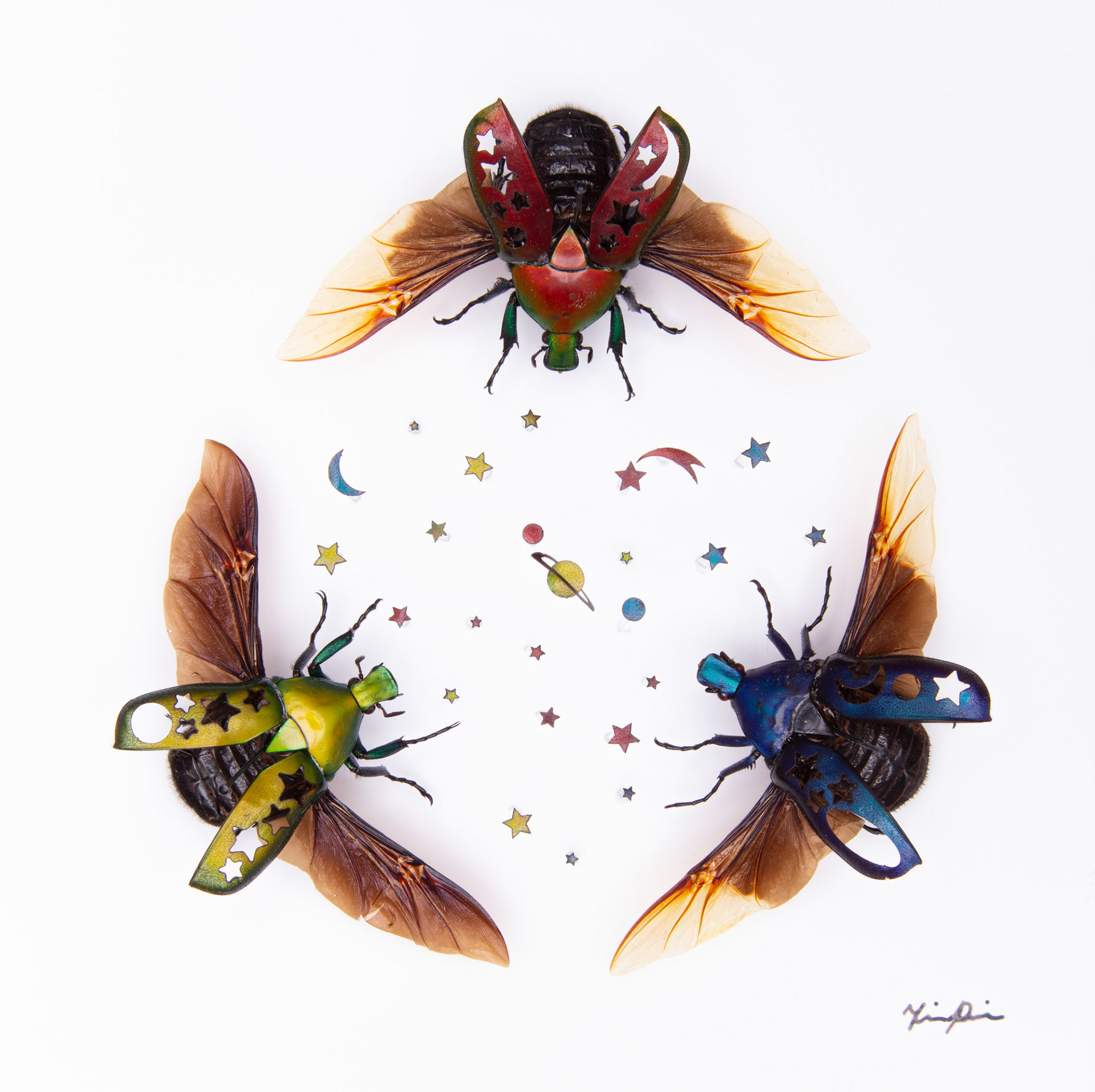 Oddities - May 2023