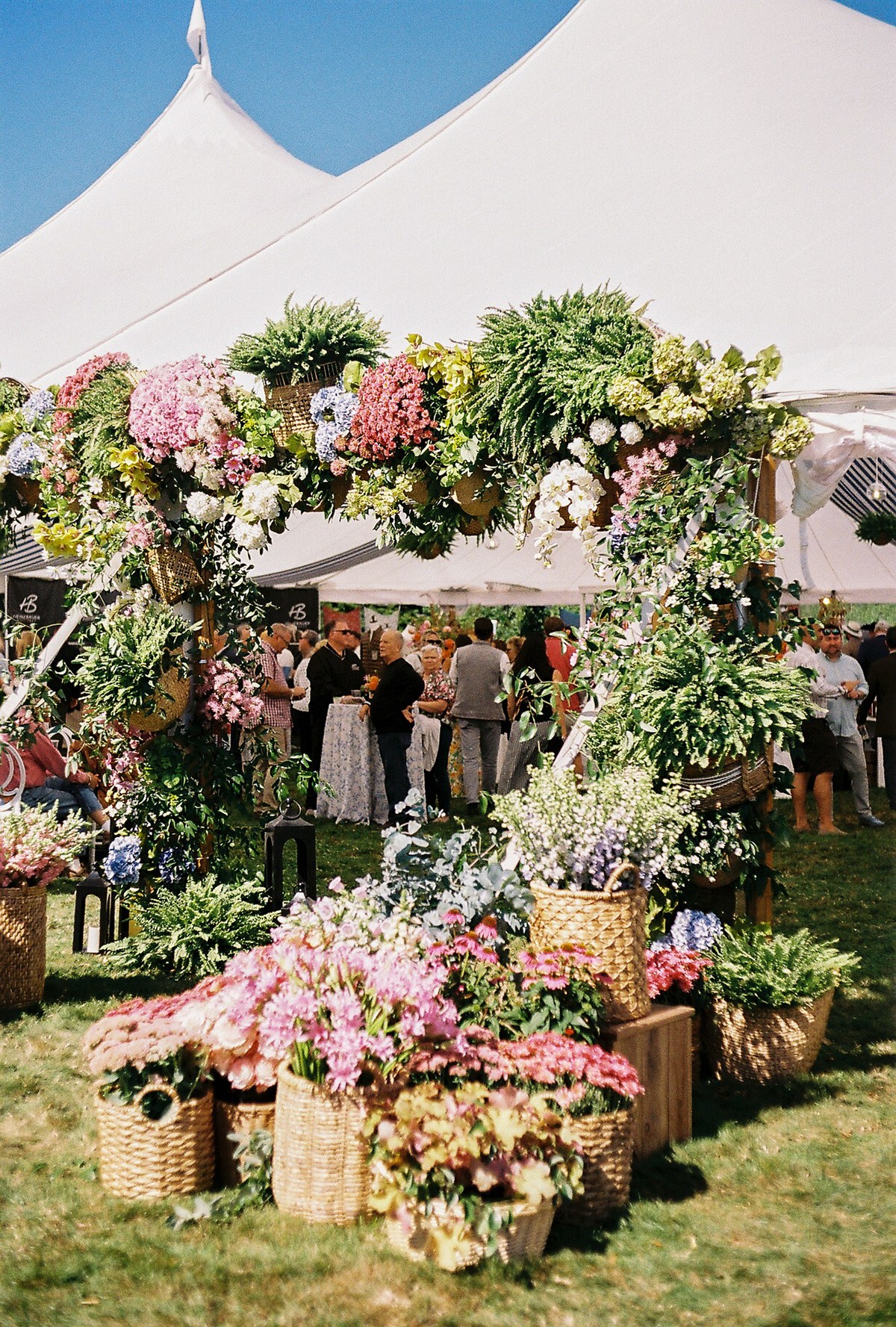 The Gathering on 35mm