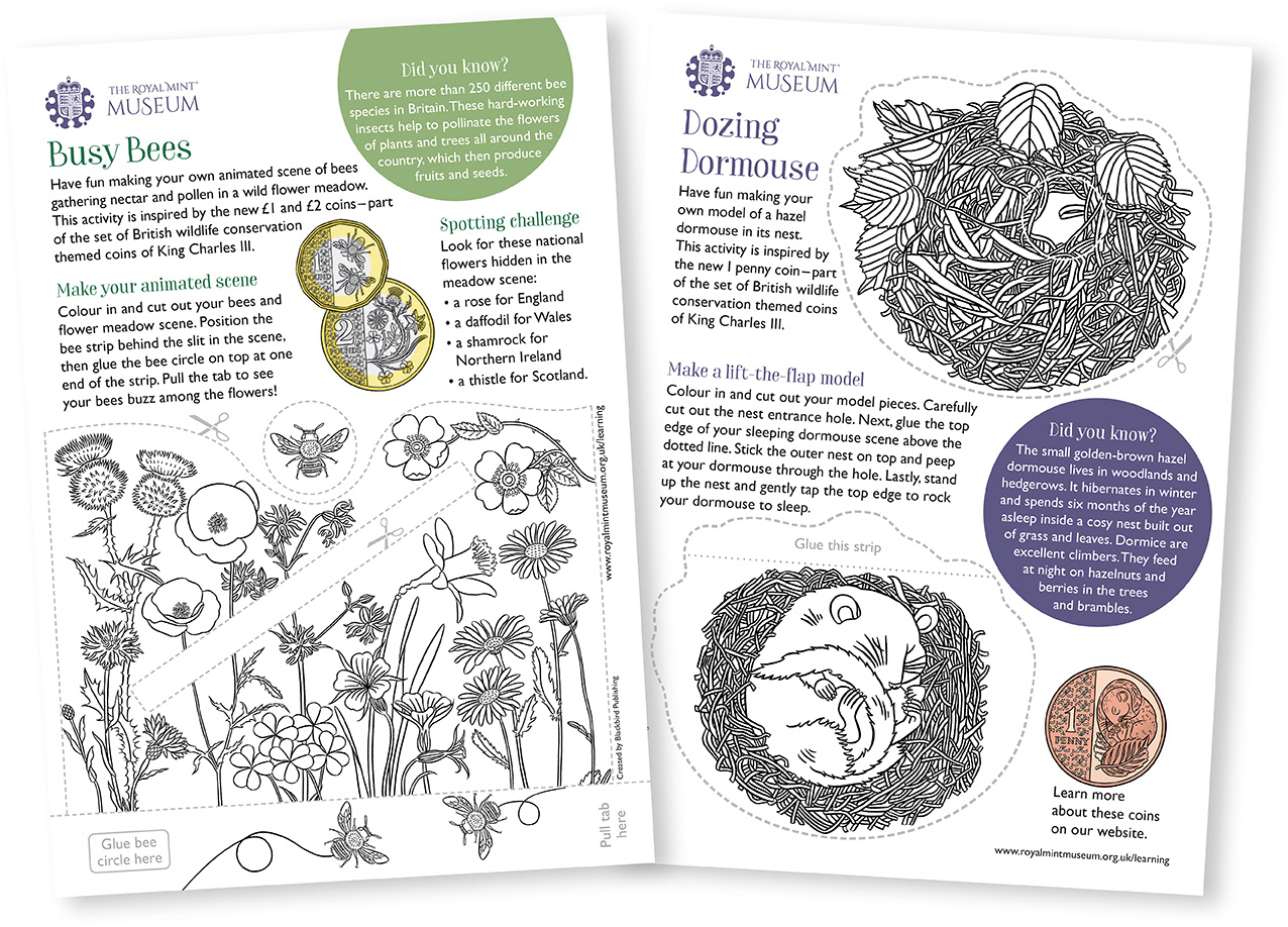 Two activity sheets showing black and white colouring illustrations of British wildflowers, a dozing dormouse and it's nest
