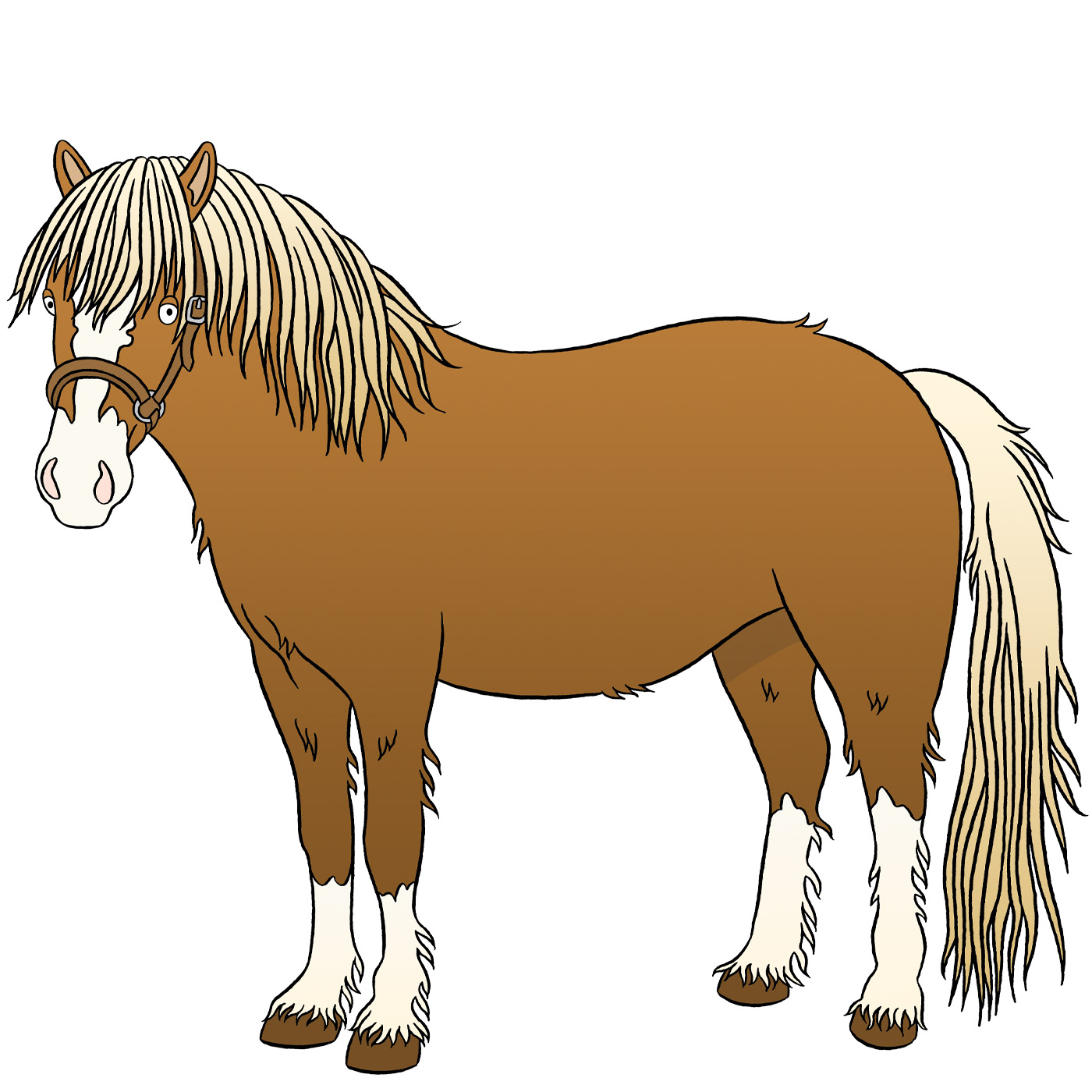 Colour illustration of a Welsh pony