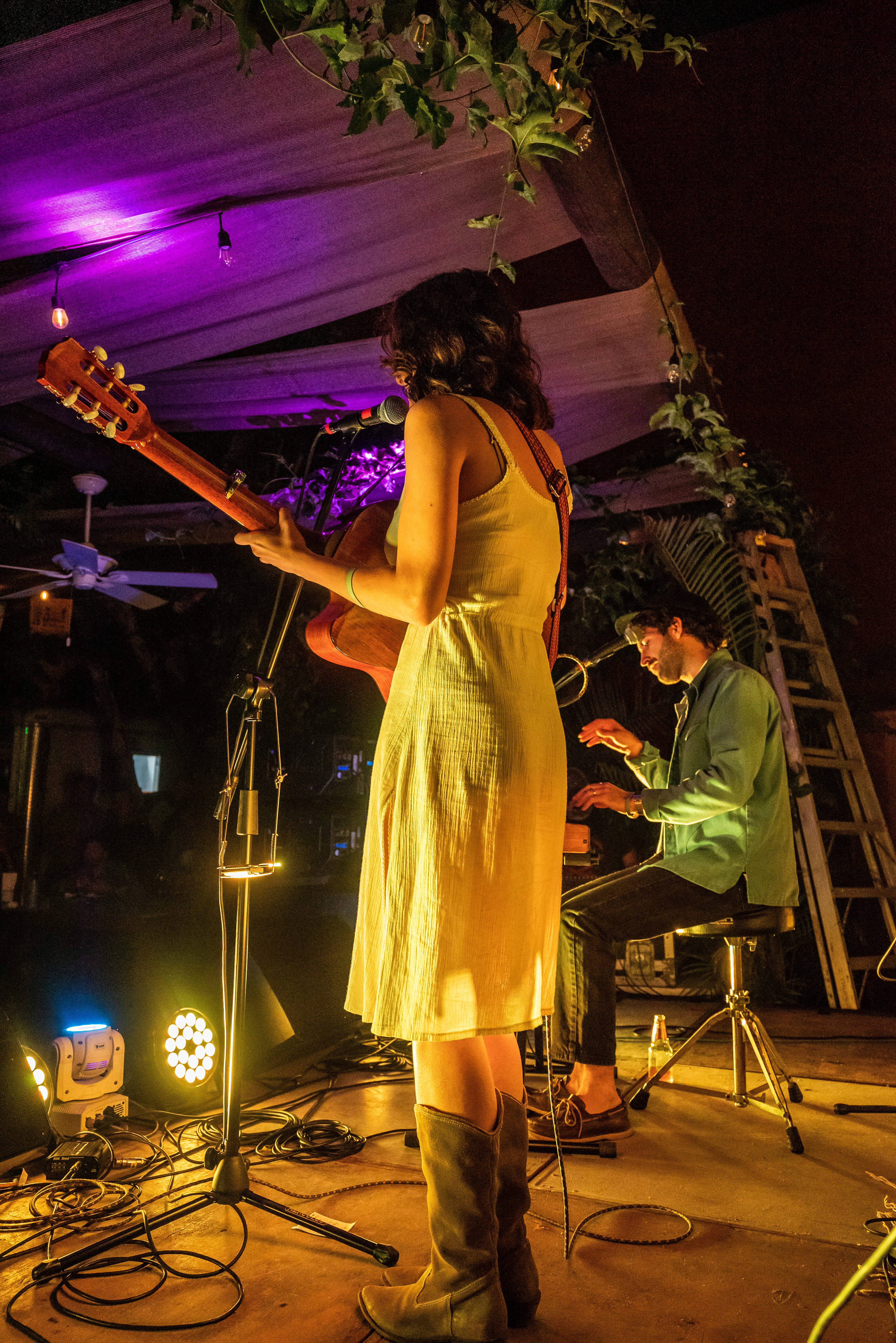 Tropic of cancer concert series