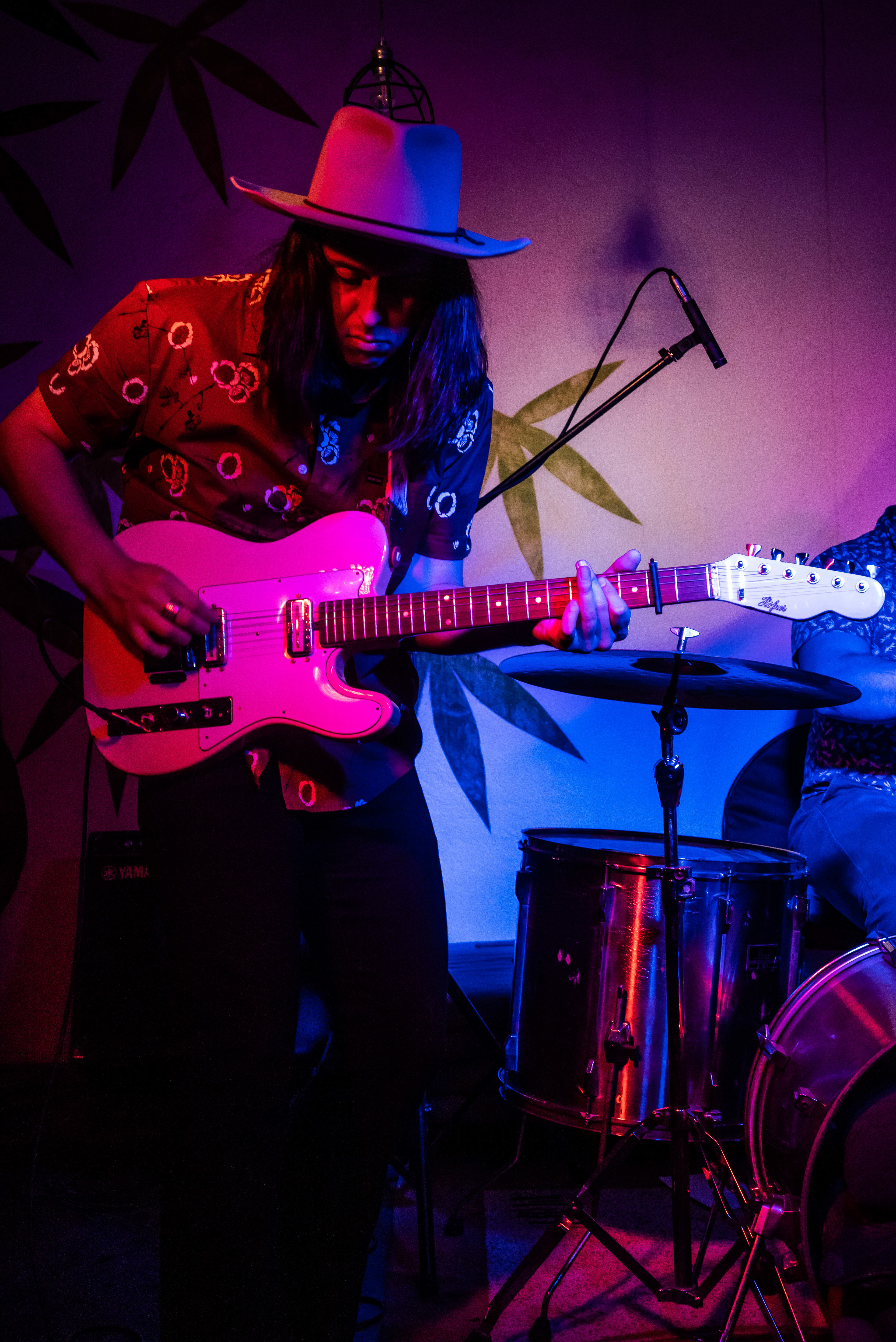 Tropic of cancer concert series