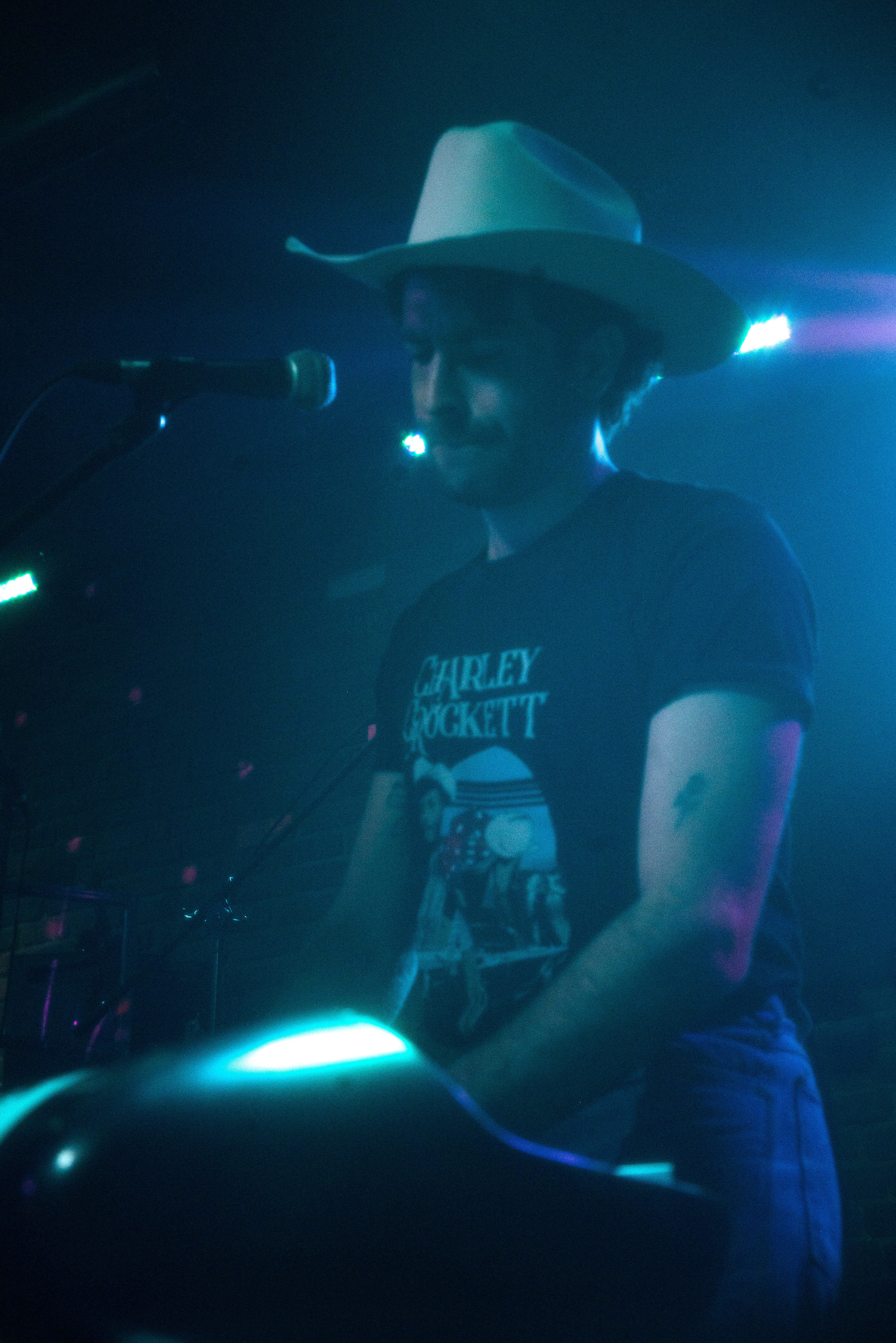 The fox- Ben Cottrill