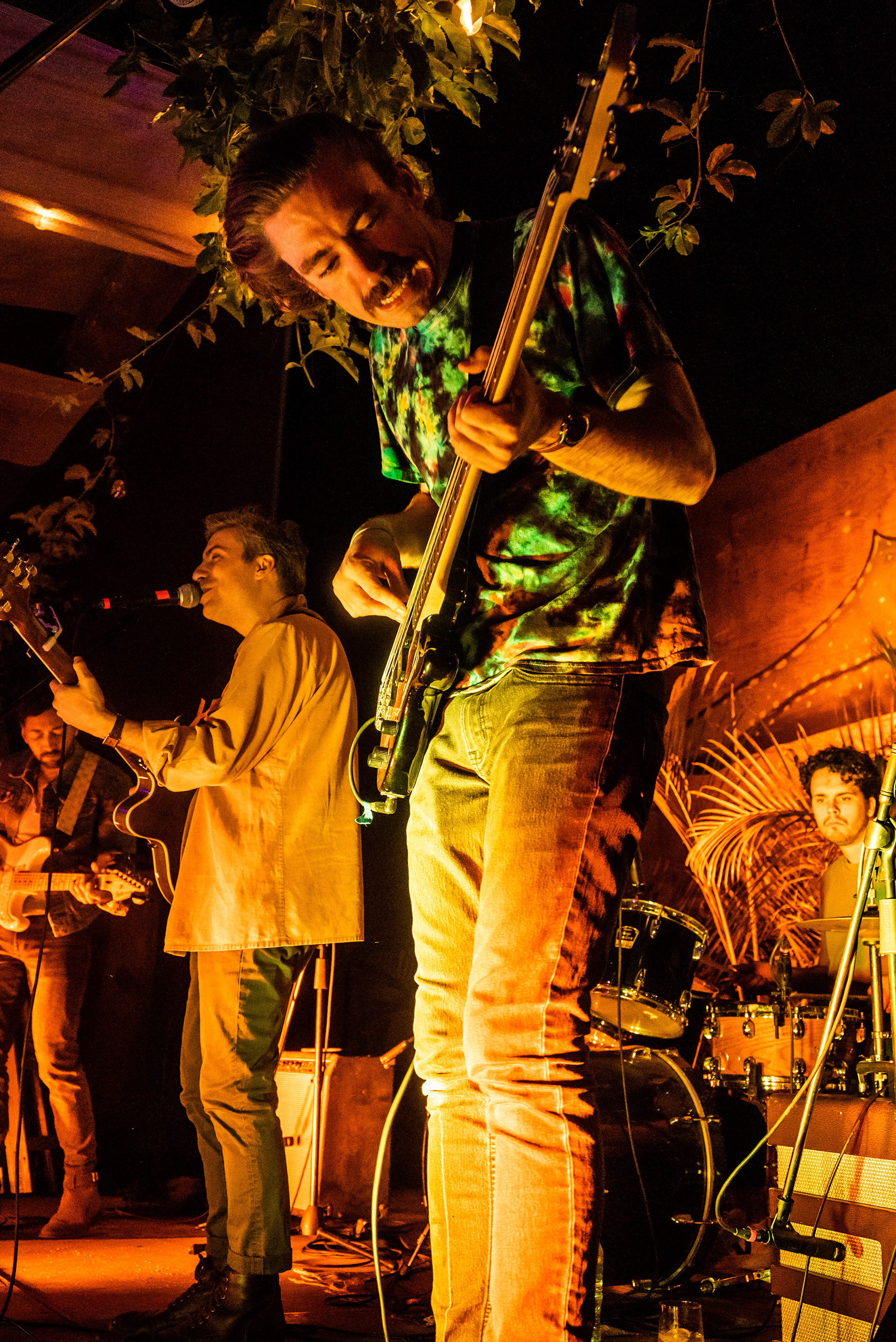Tropic of cancer concert series