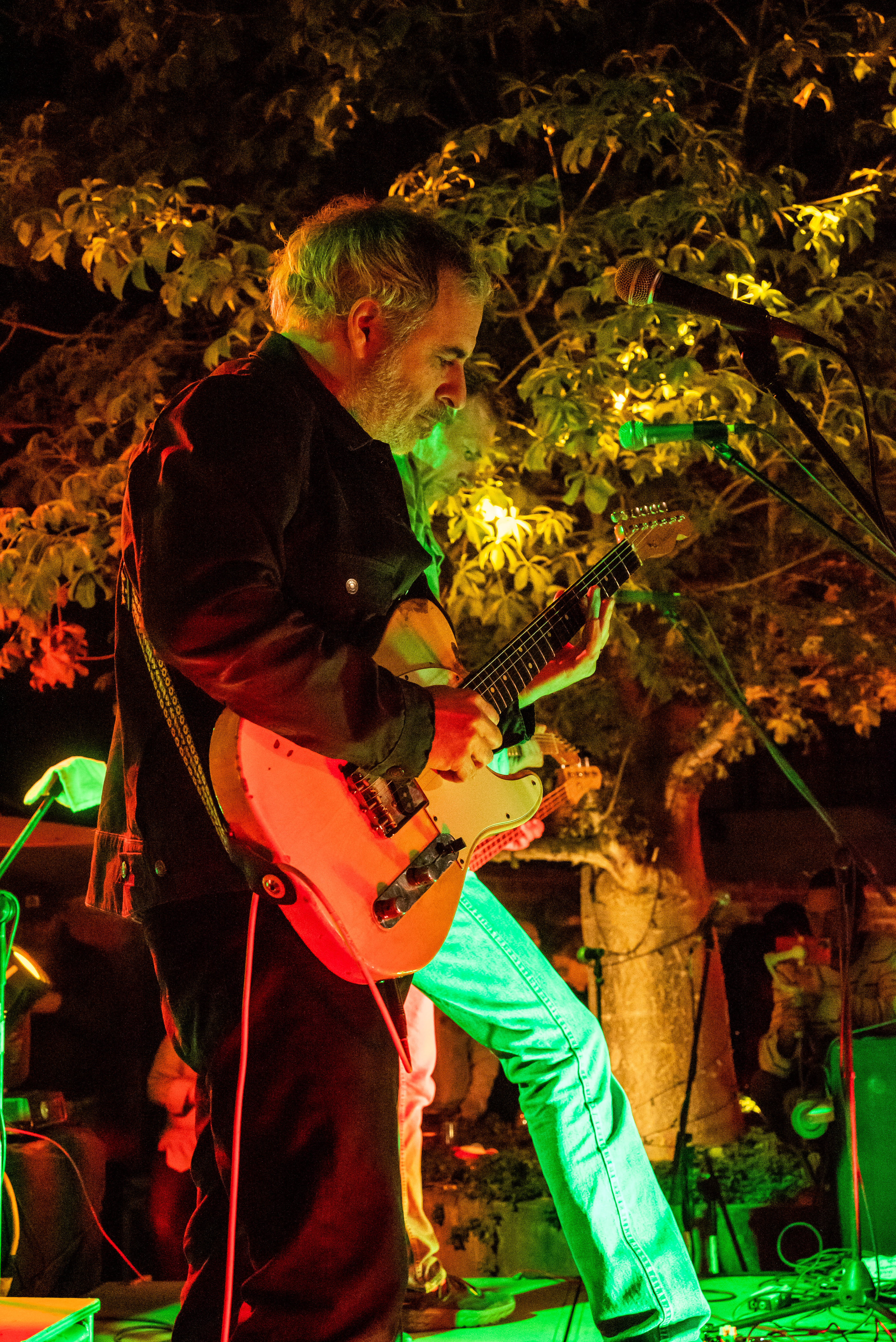 Tropic of cancer concert series