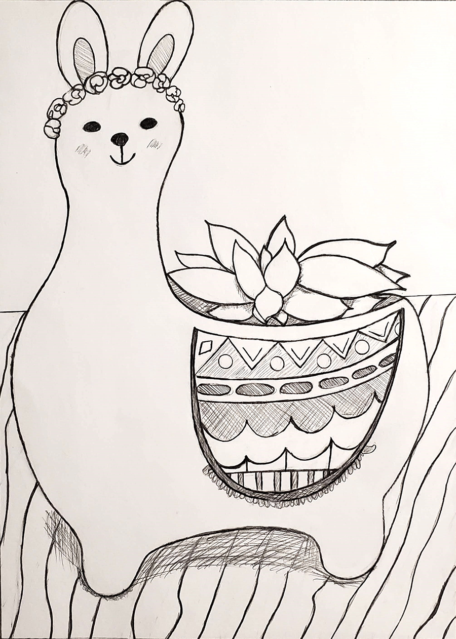 Llama Allison Heffel