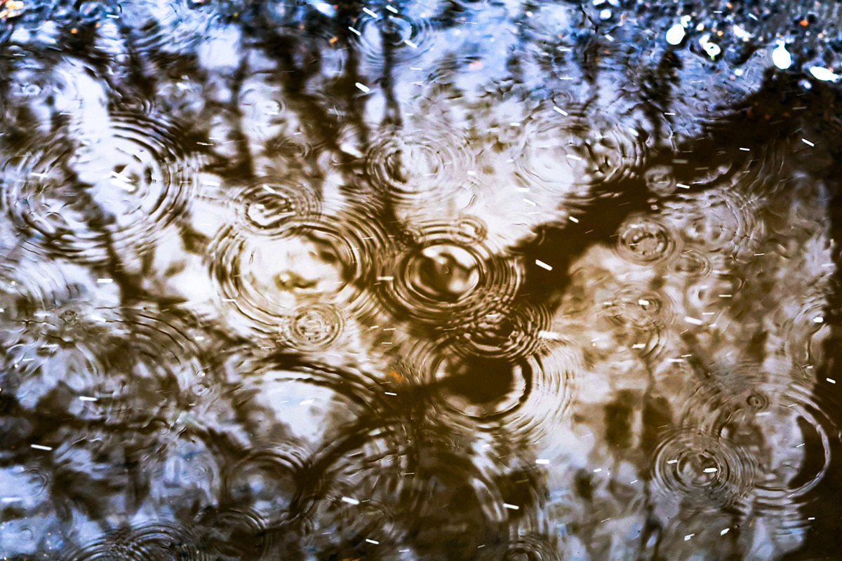Rain Dance Rubi Medina Aispuro Photography ART 1401 Digital Photography I