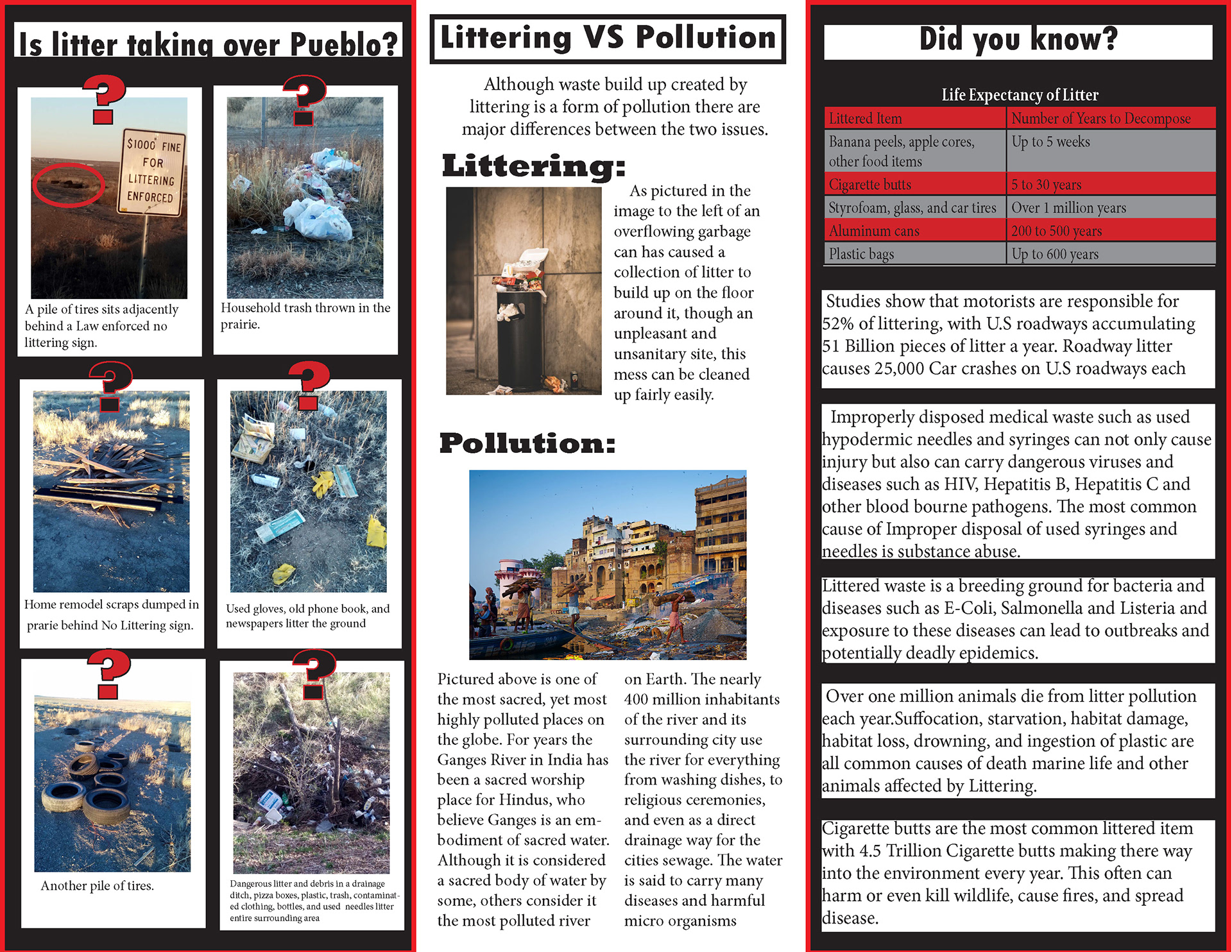 Brochure Inside, Andrew Avila