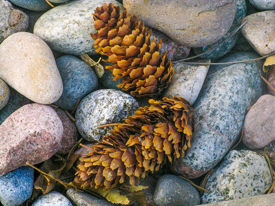 Fall Jonathan Cadena Guarda $150 ART 1401 Digital Photography