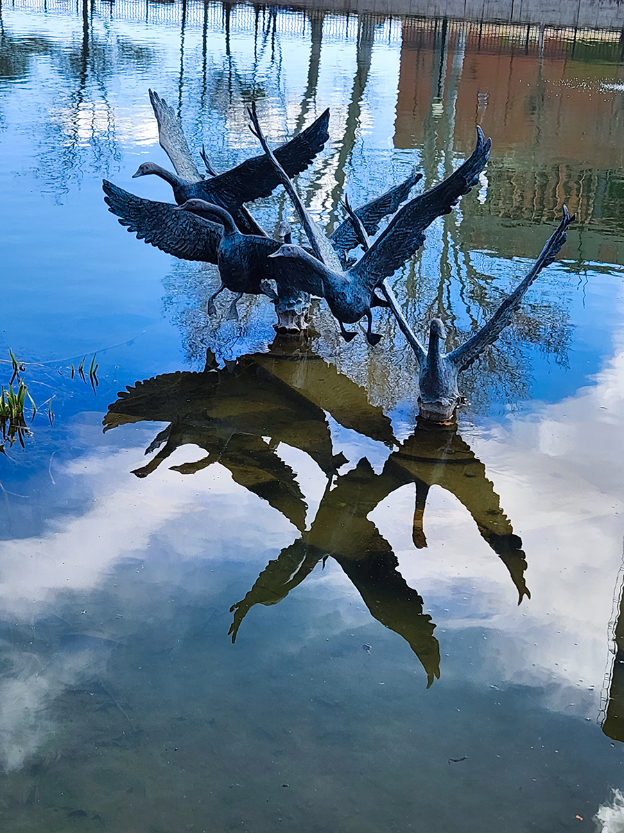 Caught In Flight Kristina Parr Photography ART 1401 Digital Photography​​​​​​​​​​​​​​