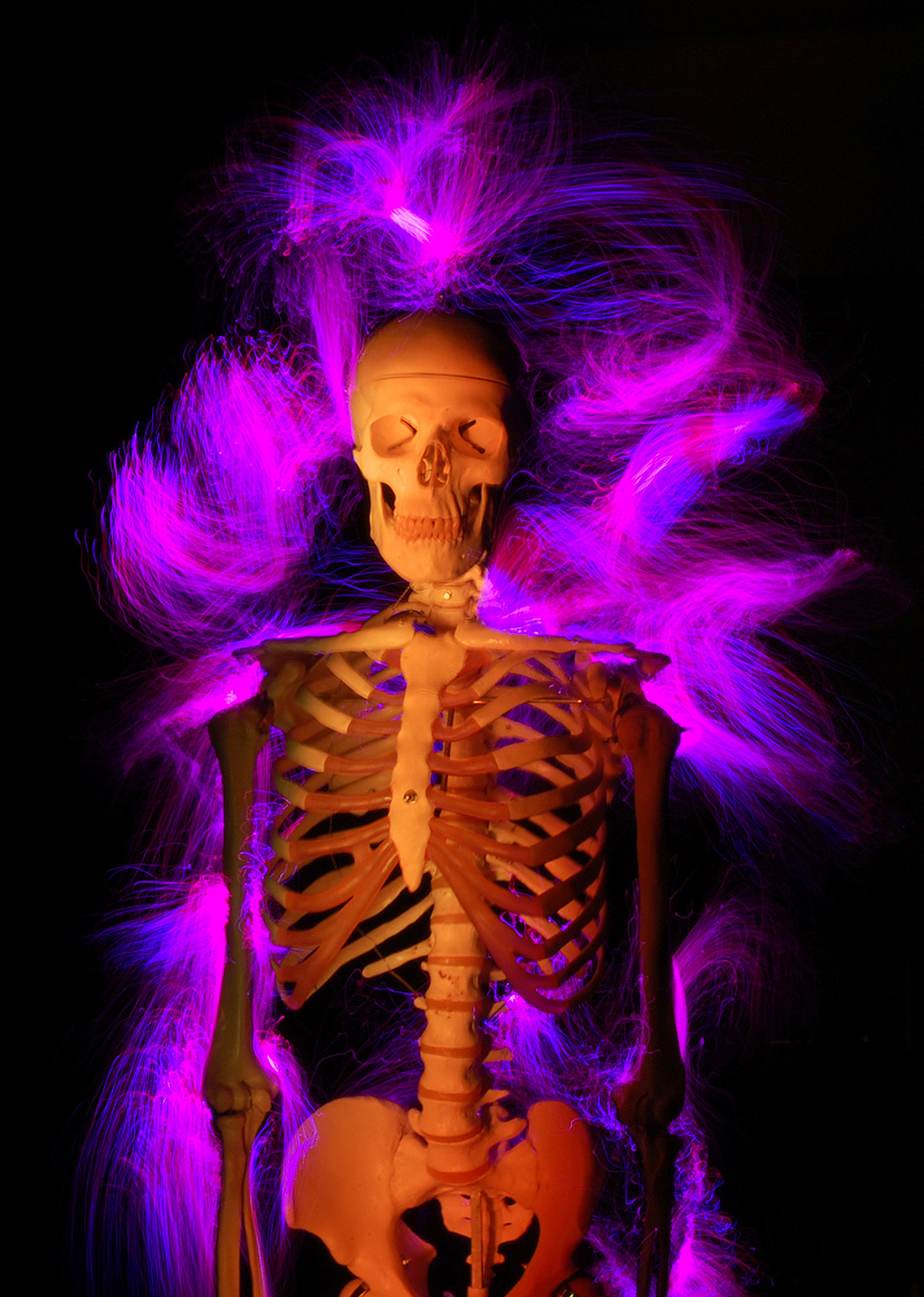 Skull Light Jayce Garcia Photography ART 1401 Digital Photography I