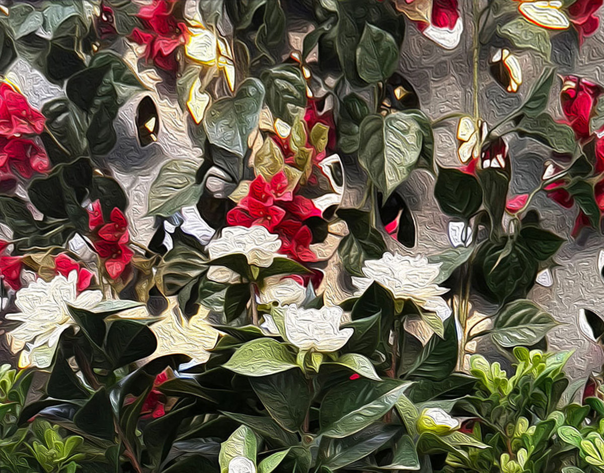 Floral Garden Dominick Taylor Photography ART 1401 Digital Photography I