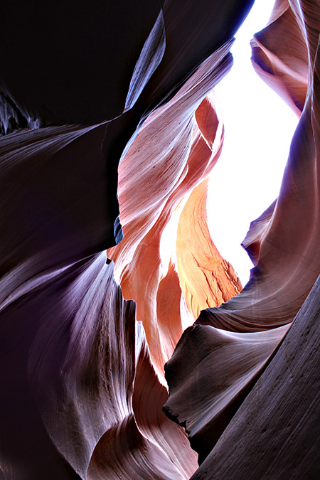 Canyon Majesty Shirley Squier