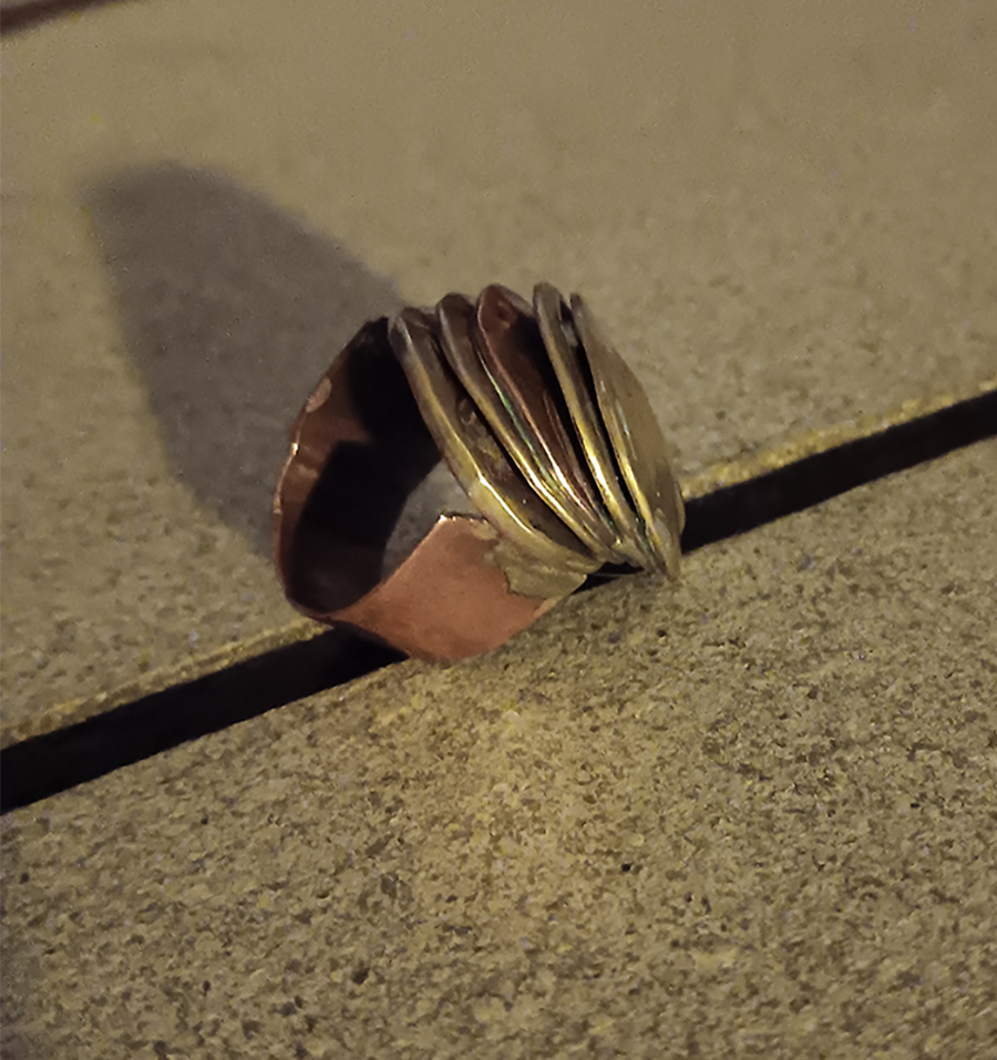 Coin Ring Ryan Young Jewelry & Metalwork ART 1604 Jewelry & Metalwork 1