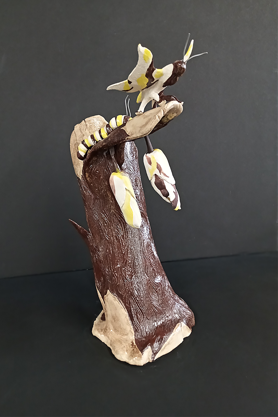 Identity Crisis Jerrod Evans Ceramics ART 1703 Ceramics 1