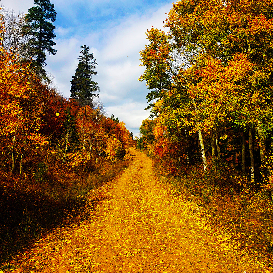 Mountain Road, Jake Iberg