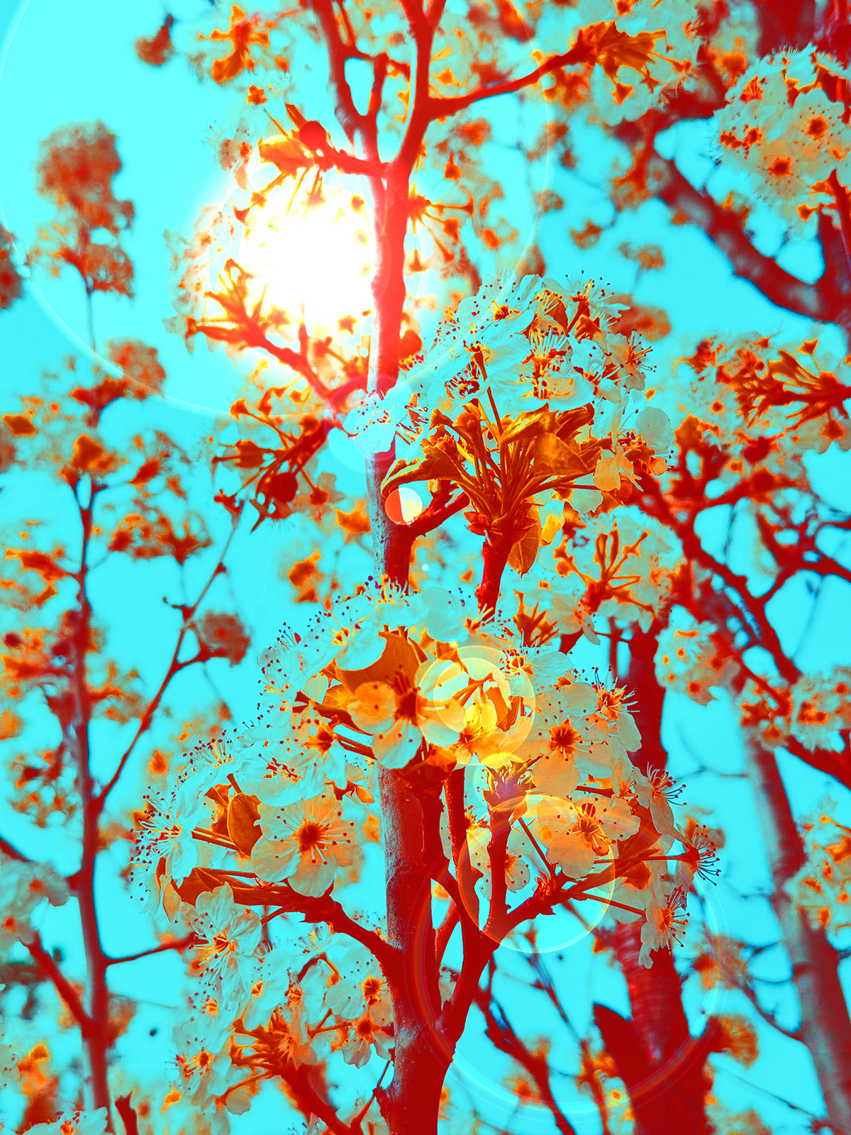 Ethereal Mario Ramirez Photography ART 1401 Digital Photography I