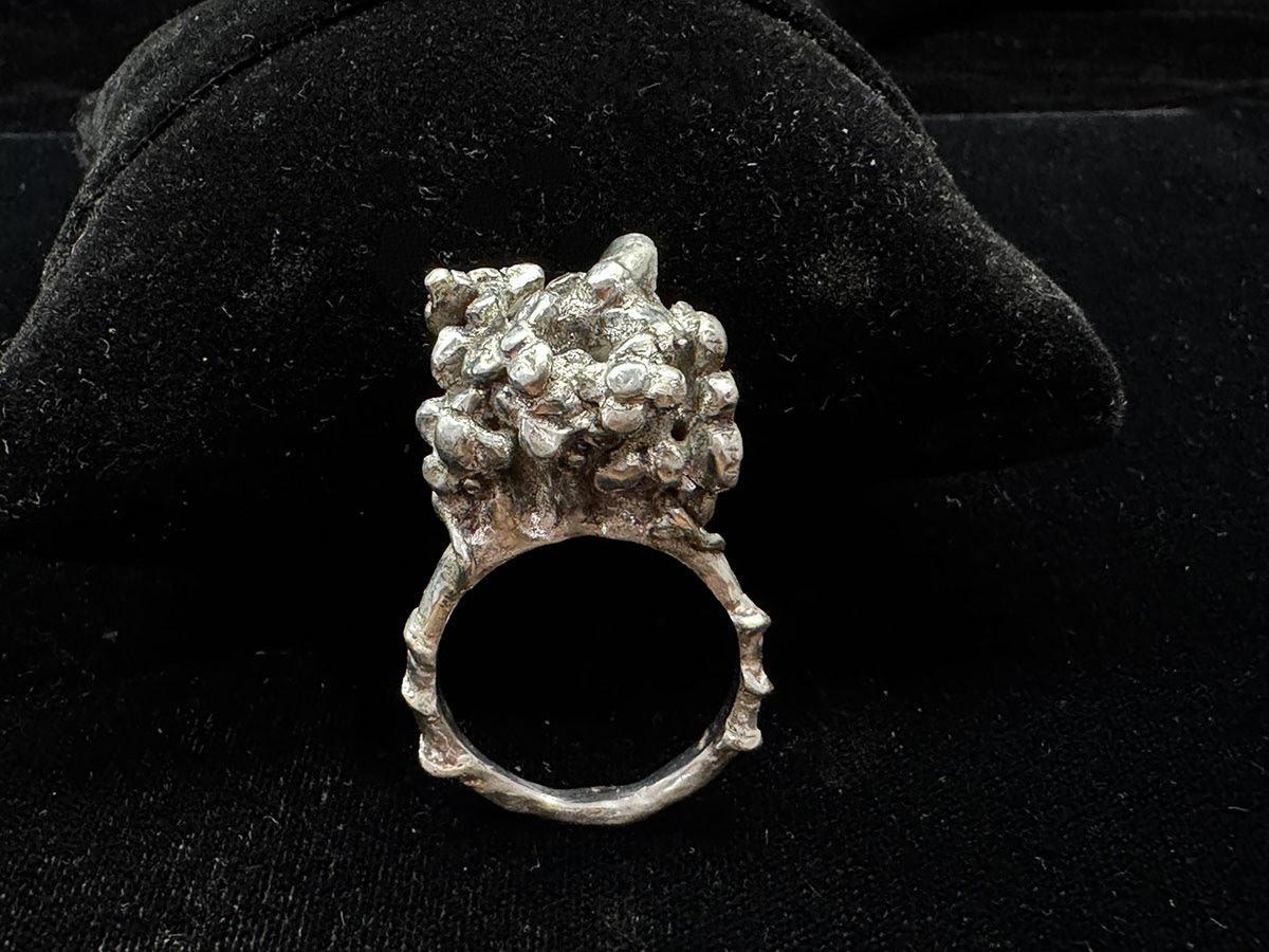 Surprise Bouquet Connor Kelly Jewelry & Metalwork ART 1605 Jewelry and Metalwork II