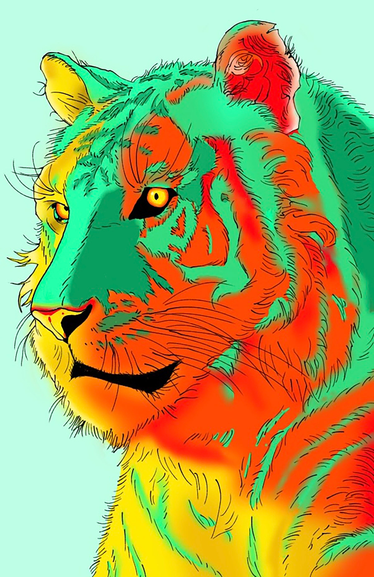   Irregular Tiger Dani Torrez