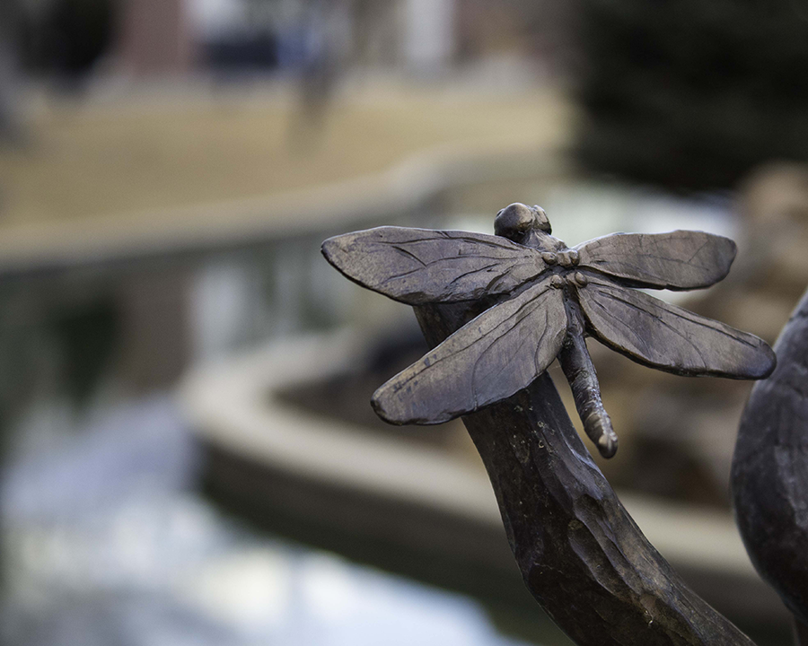 Wings of Stone Tara Jenson Photography ART 1401 Digital Photography