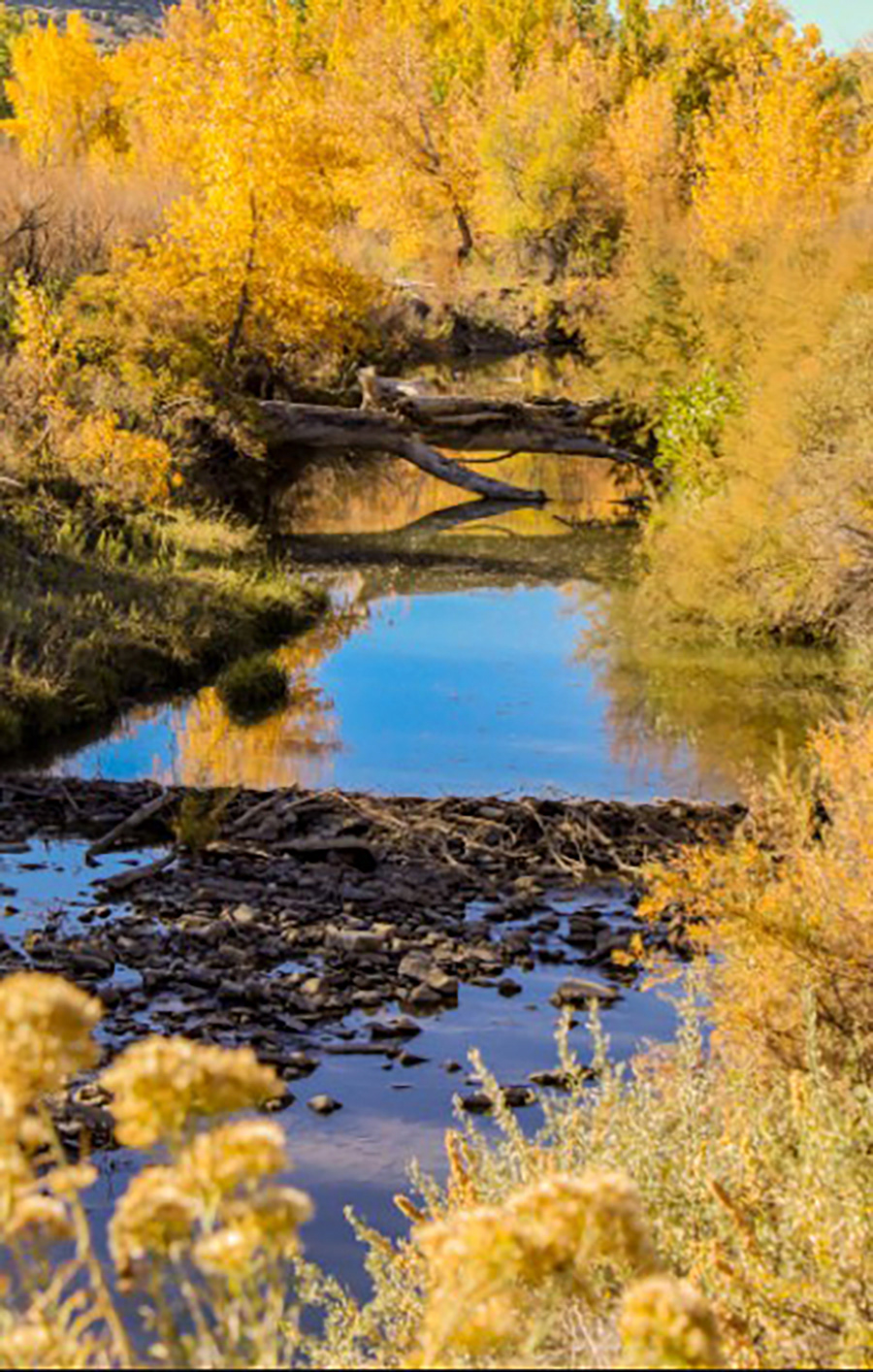 "Life flows as freely as Water", Taija Oakes