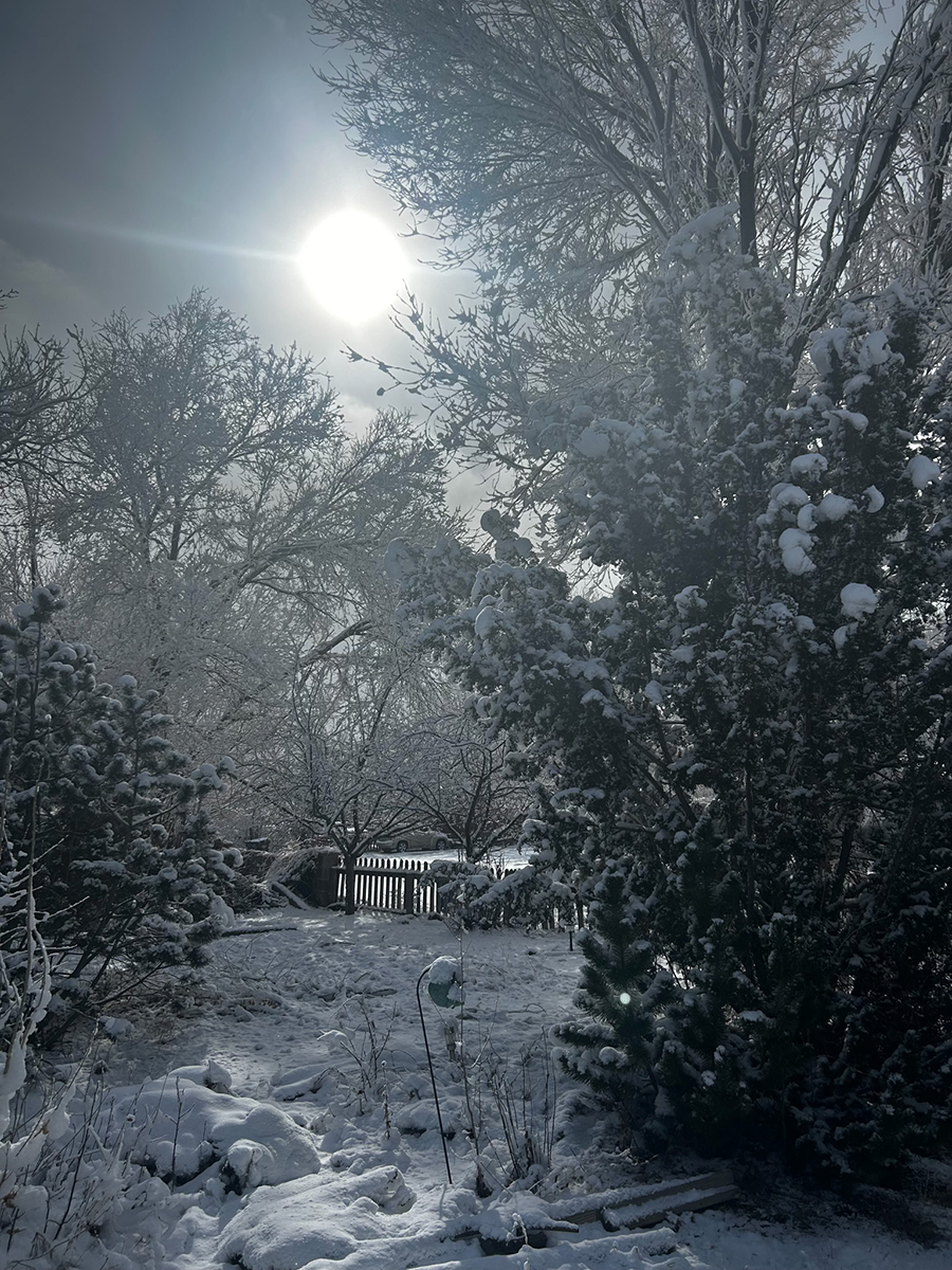Winter Wonderland Isabelle Strang Photography ART 1401 Digital Photography