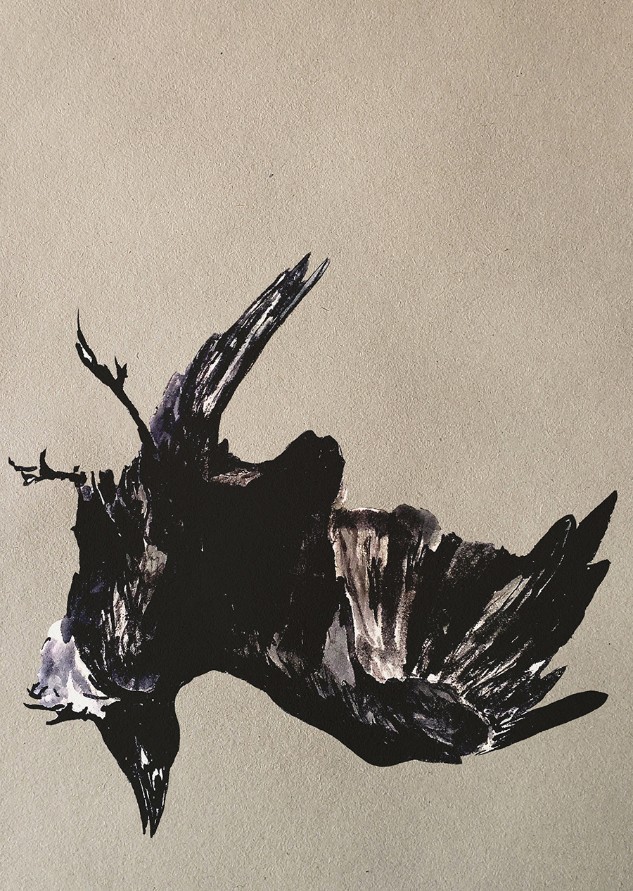 Twisting Raven - Digital and Ink, Jake Iberg