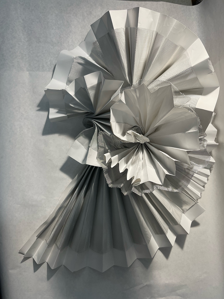 Concertina Flower Socorro Torres-Lechuga