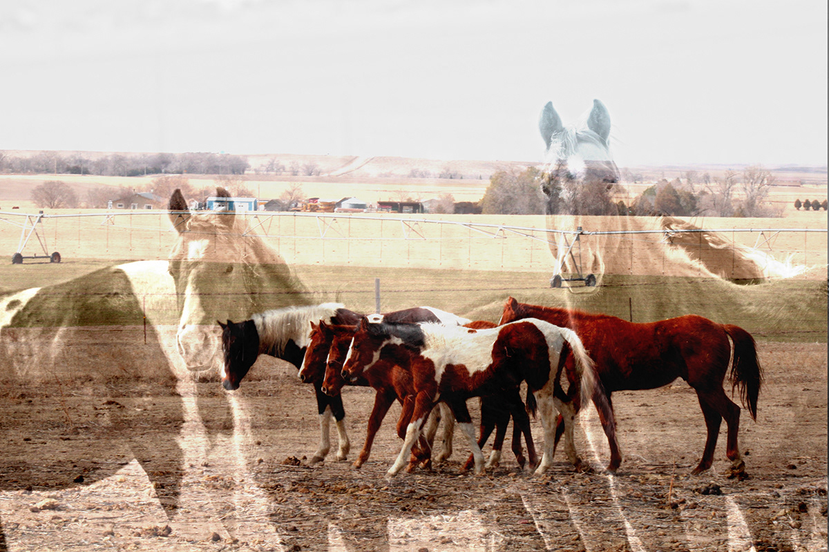 Extended Family Makenzie Bott Photography ART 1401 Digital Photography I
