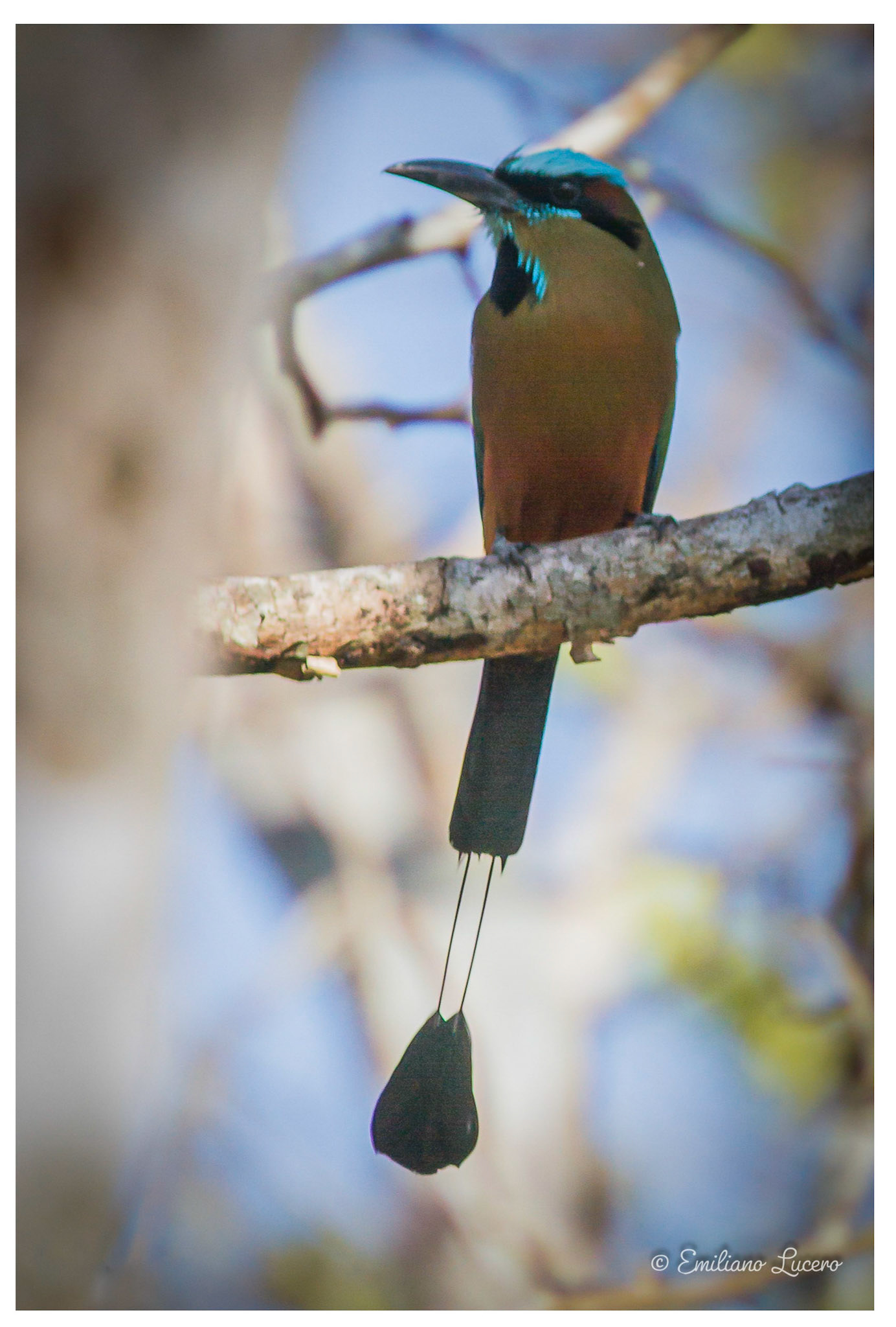 Yucatan - Mexico