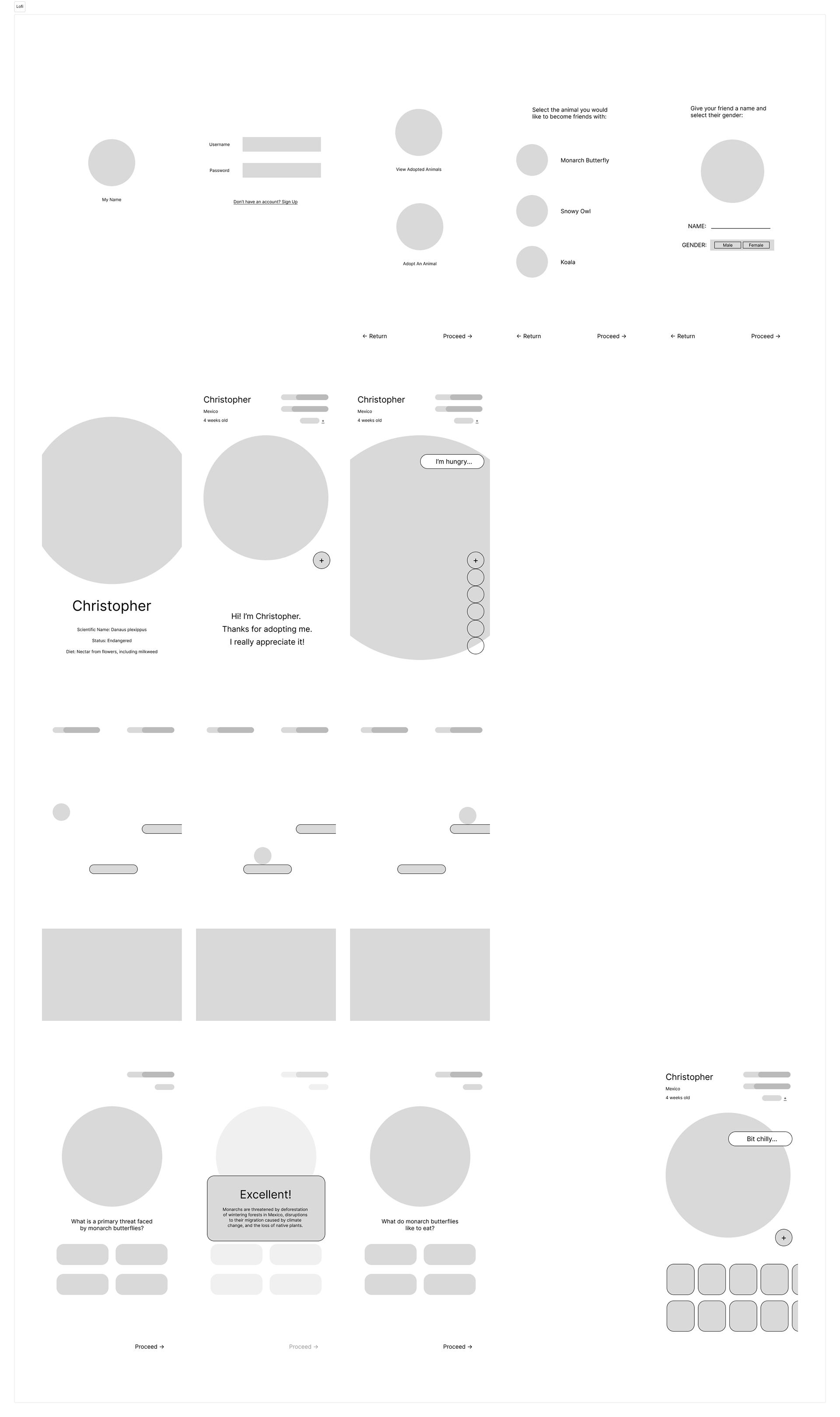 Lofi Prototype