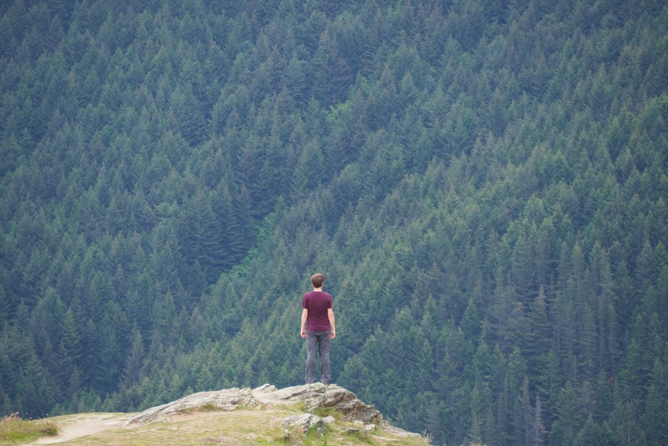 2018 | Queenstown Hill