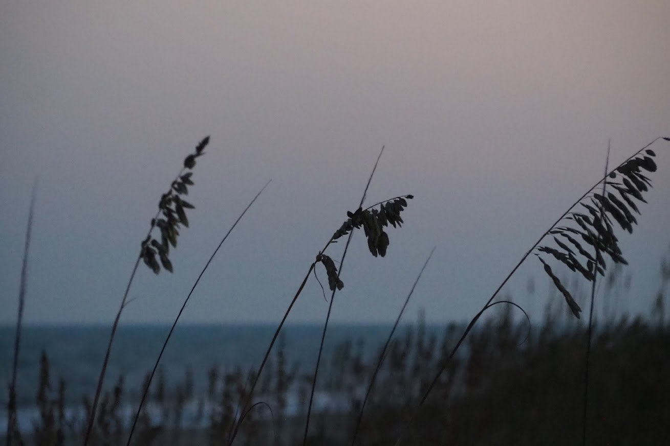 2019 | Ocean Isle Beach