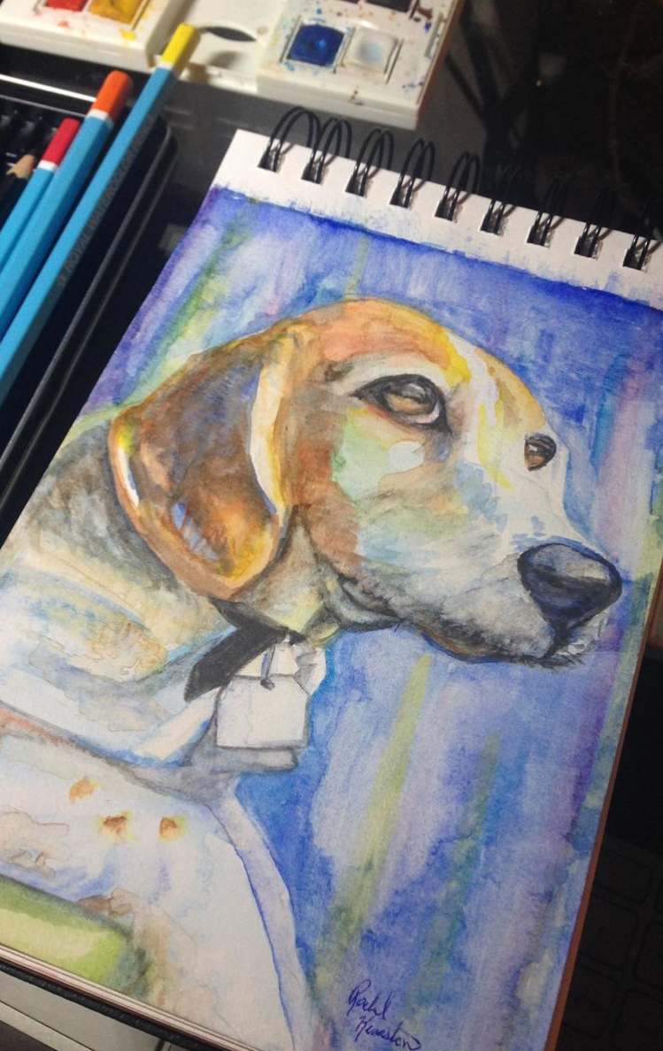 Buddy the Beagle