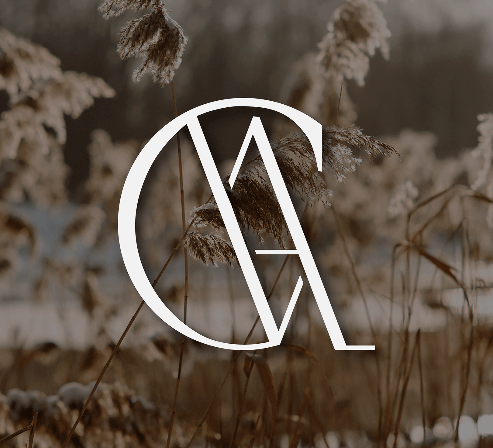 Va Grafika logotipas