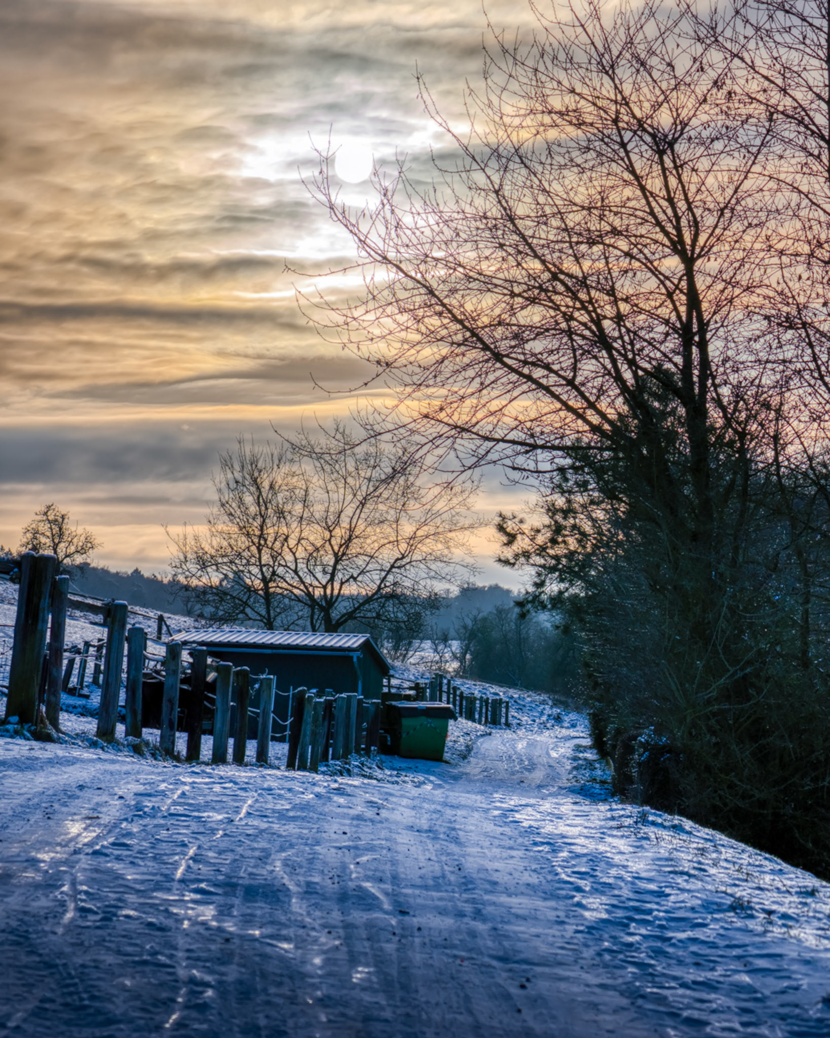 Wintersonne auf dem Weinberg bei Wetzlar-Steindorf als gestacktes Bild