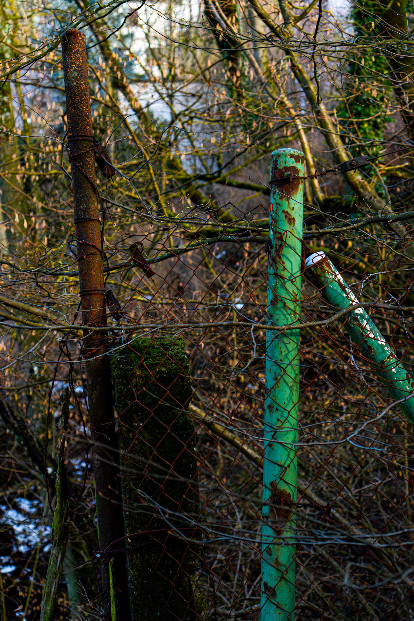 Rostiger Zaun auf dem Deutschherrnberg