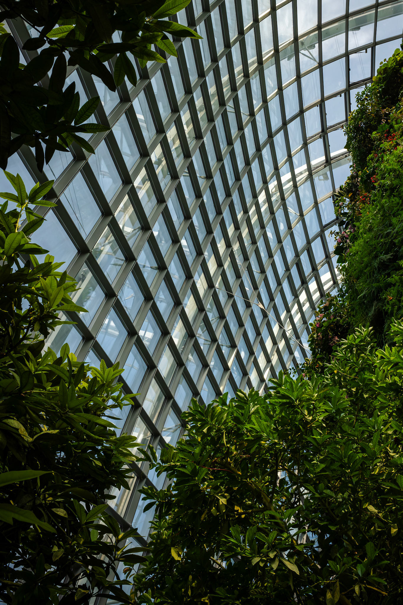 Pflanzen und Architektur im klimatisierten Garten; geschwungene Stahlträger strukturieren den Raum.