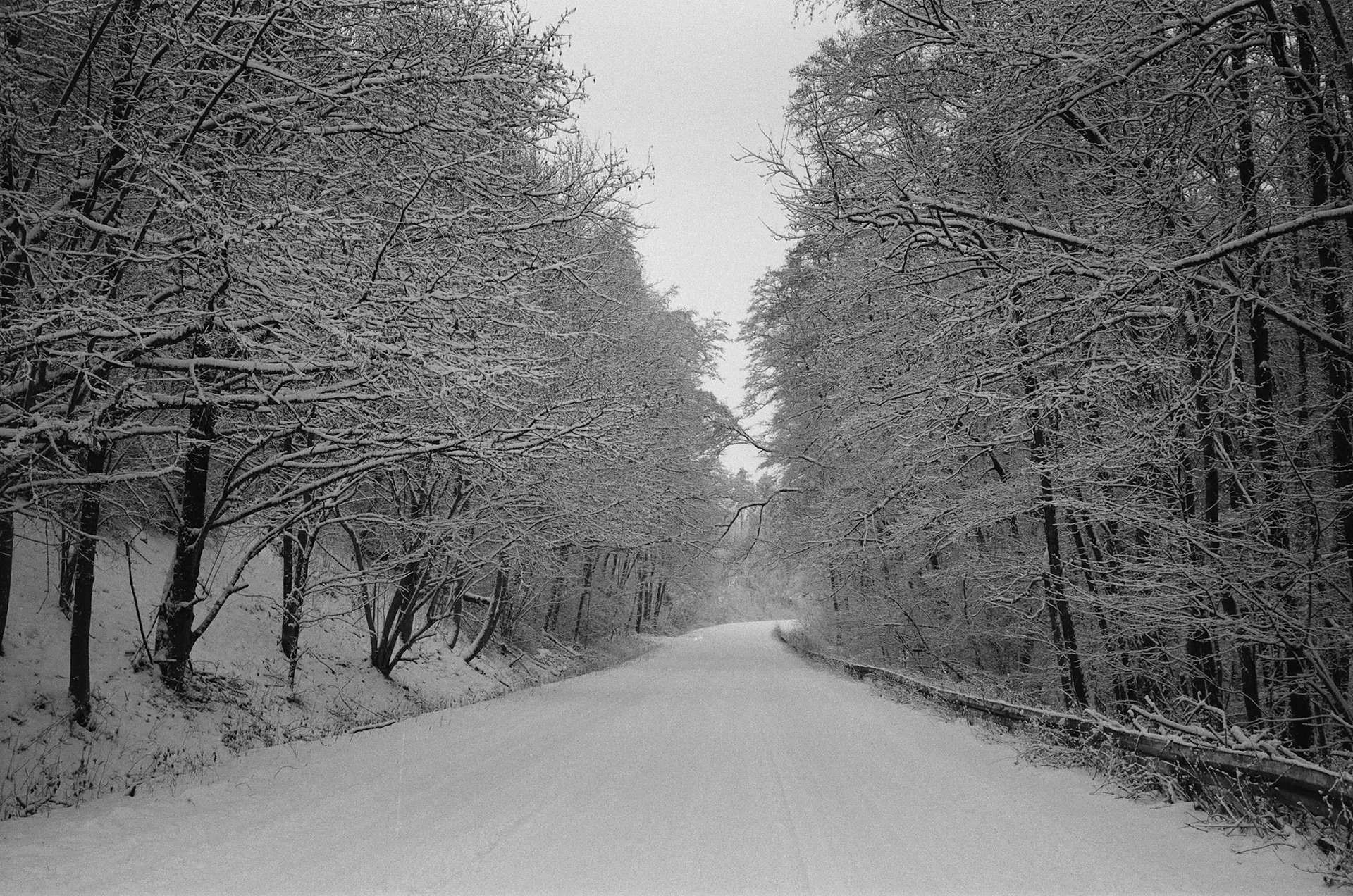Verschneiter Weg nach Magdalenenhausen, Wetzlar Leica M4, Voigtländer Ultron 35mm F2.0, Agfa 100APX